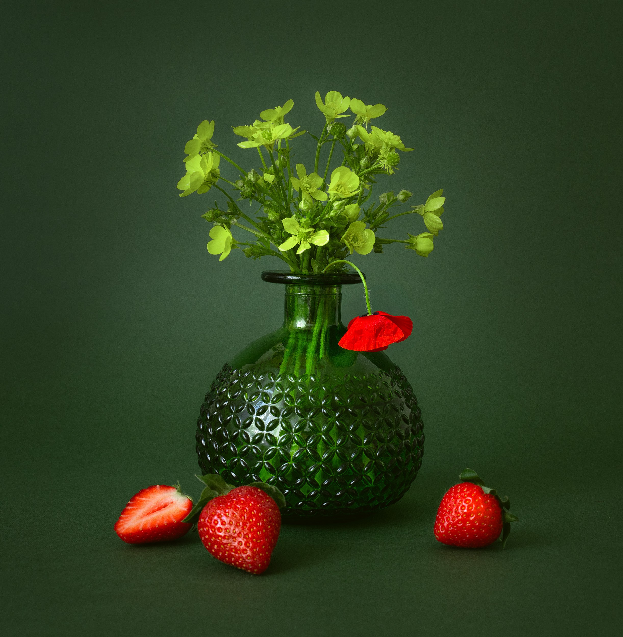 Предметная фотография. Коммерческий фотограф в Молдове Курилова Диана