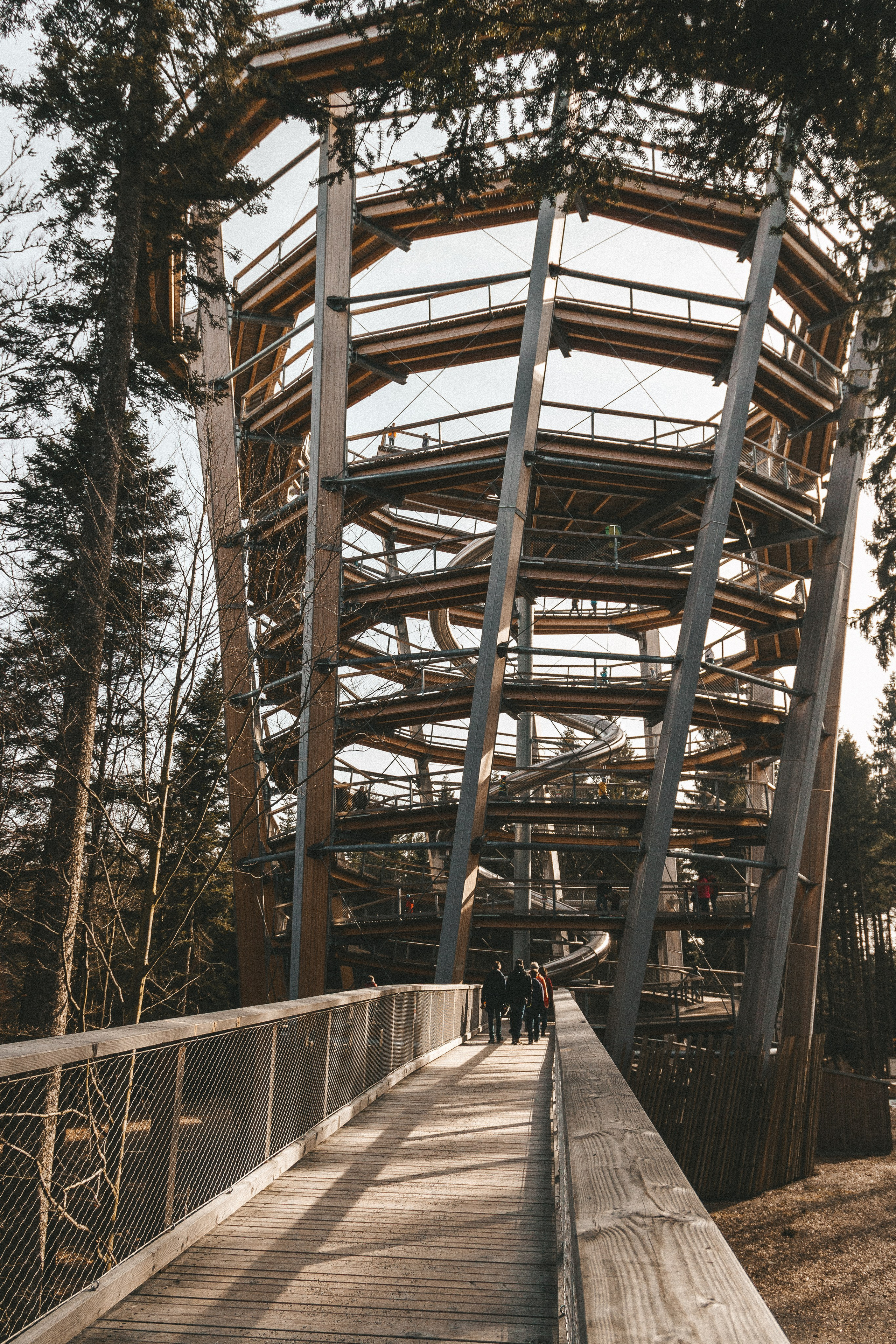 Над вершинами деревьев Baumwipfelpfad. Фотограф в Германии — Мария Чистякова