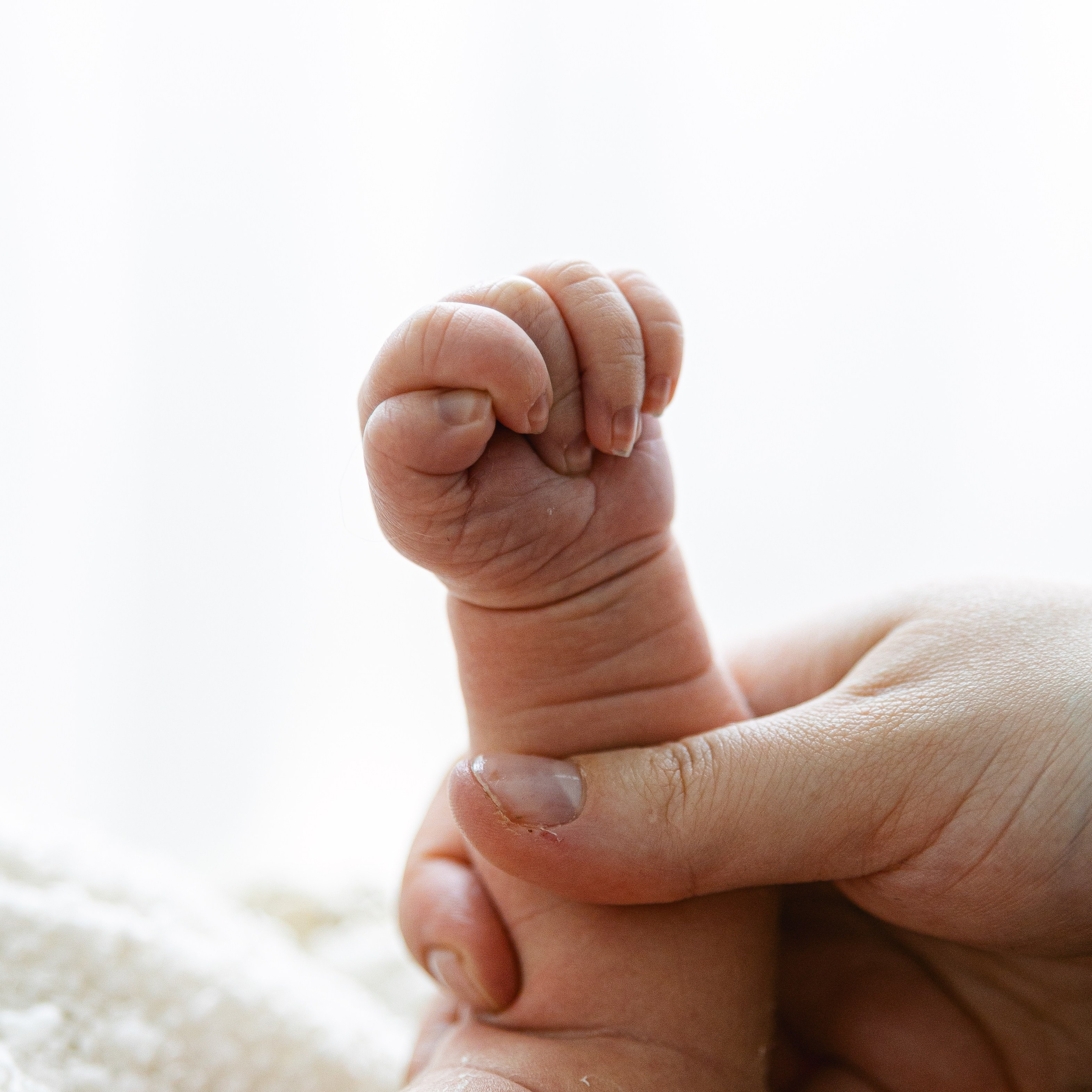 Fotografka Andrea Hlaváčová / Karlovarský kraj / Karlovy Vary Sokolov