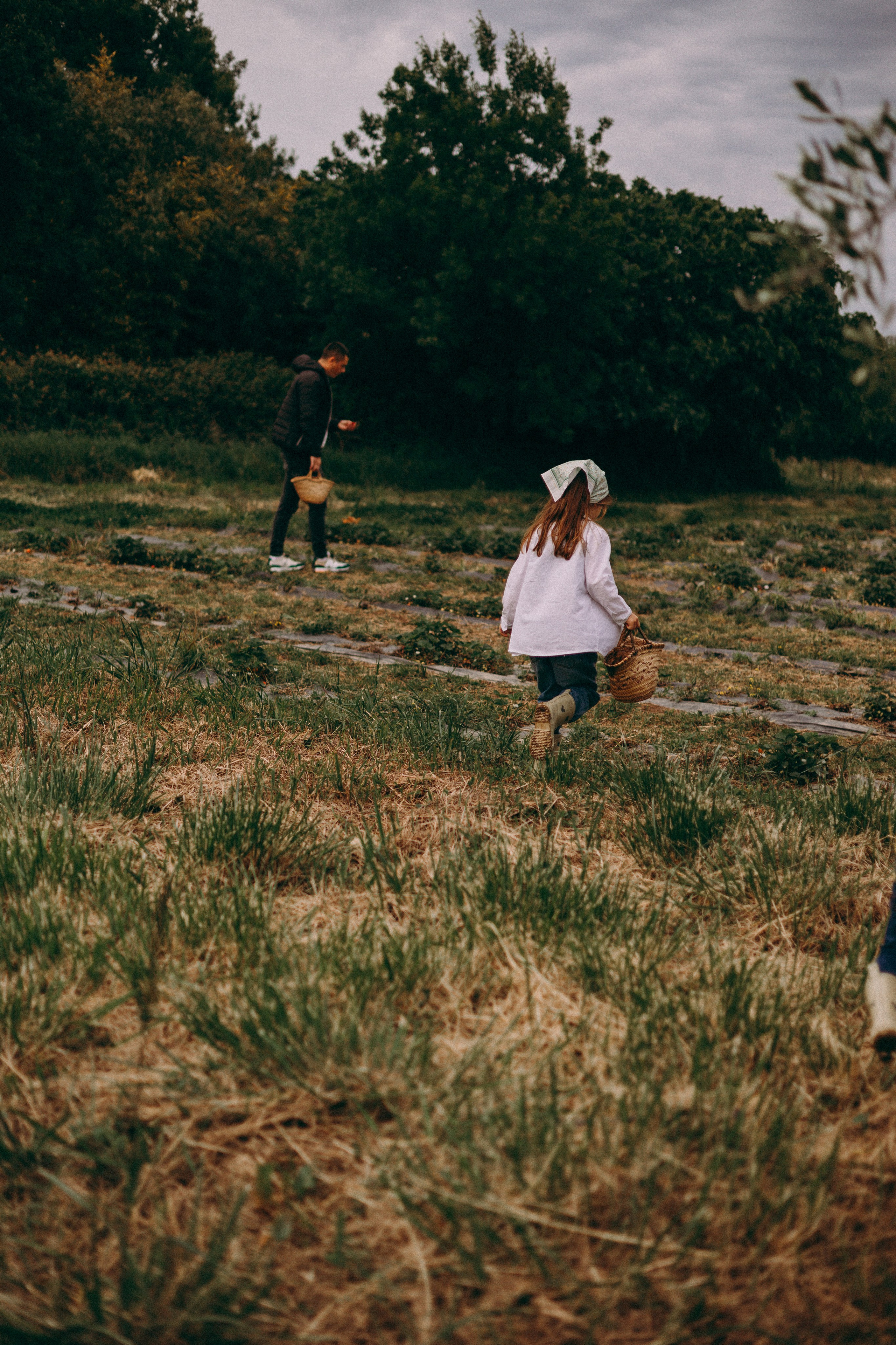 Cueilette fraise. Photographe en Côte d’Azur