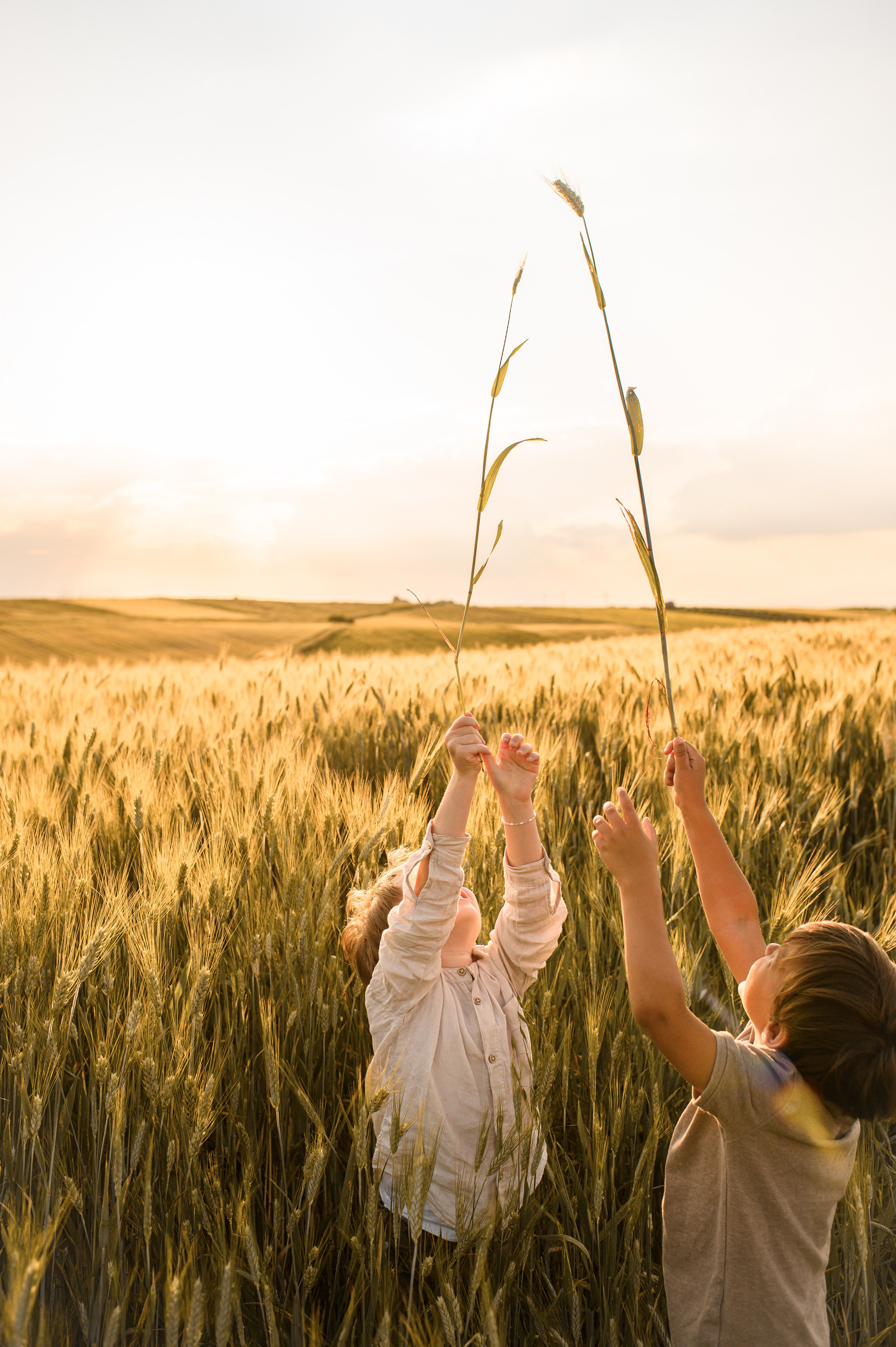 Wheat fields. Family, children, portrait, and event photography in Thessaloniki