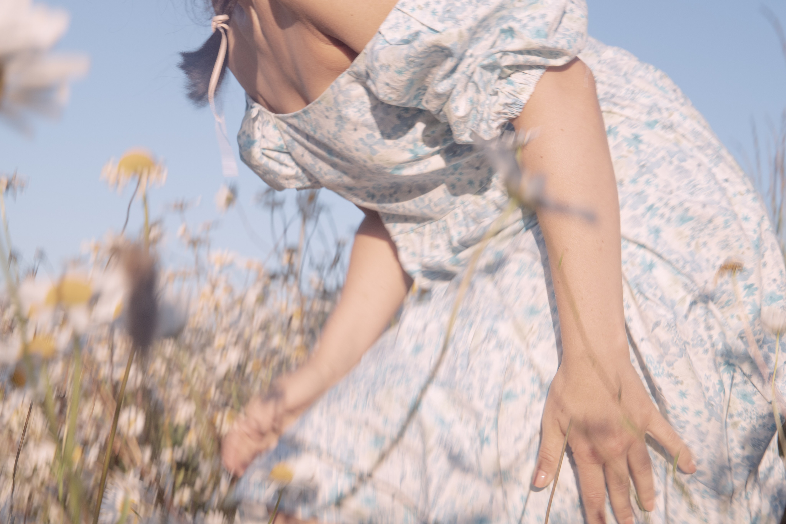 DAISIES. Natalja Poplavska — Visual artist, Photographer, East Sussex, London