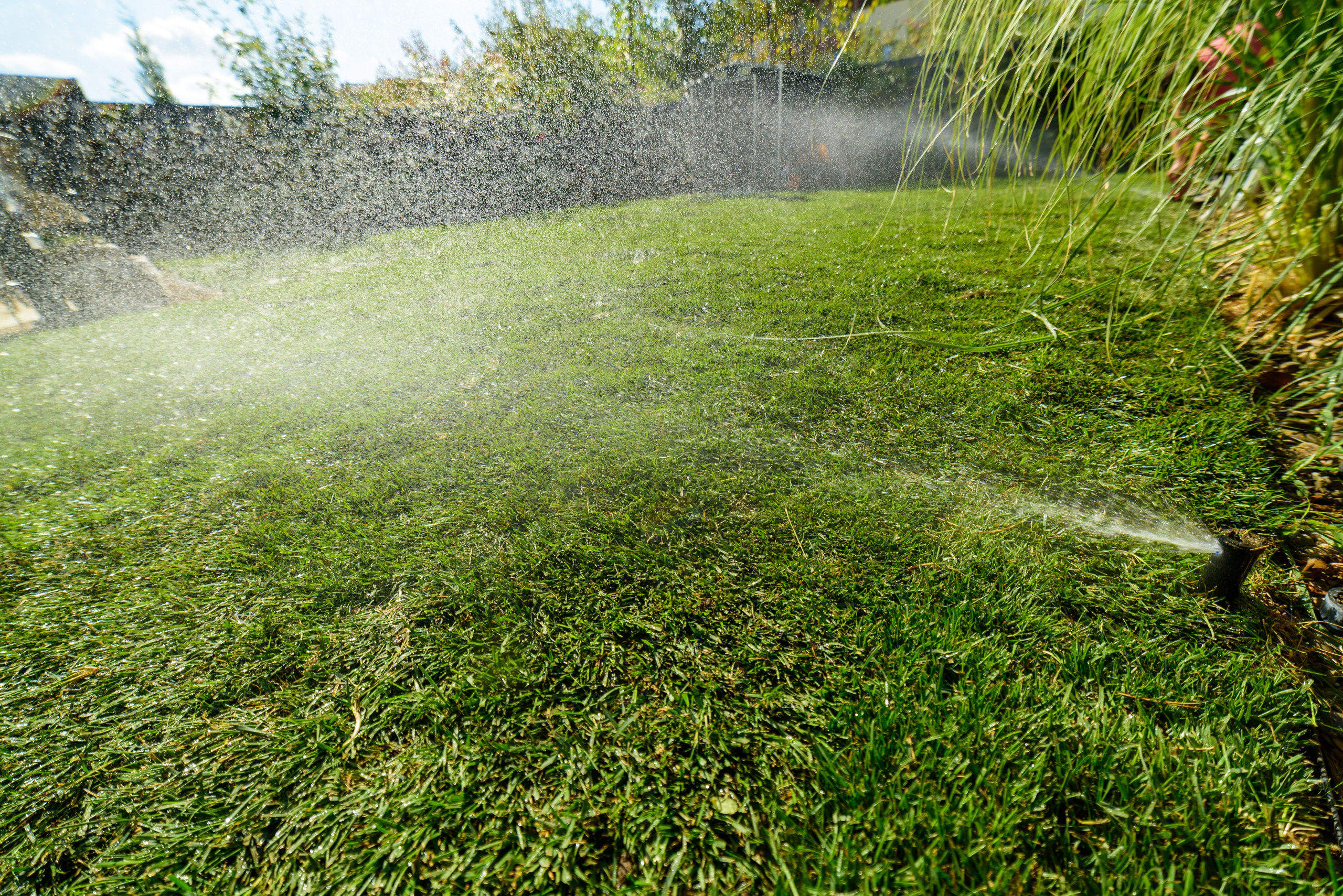 Corporate. Wedding photographer from Bucharest Eugen Elisei