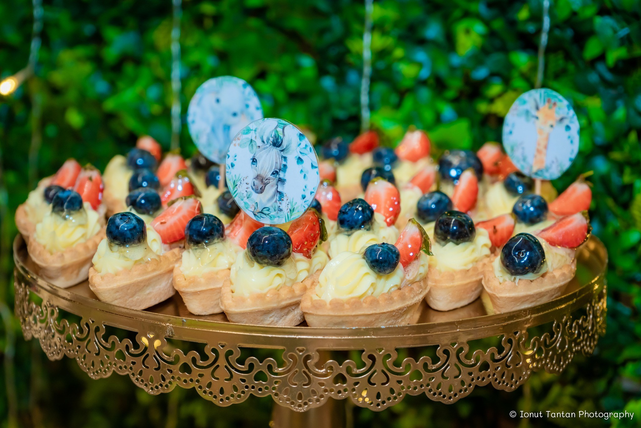 Fotografii de Botez – Ionut Tantan Foto & Film. TANTAN IONUT FOTO & FILM