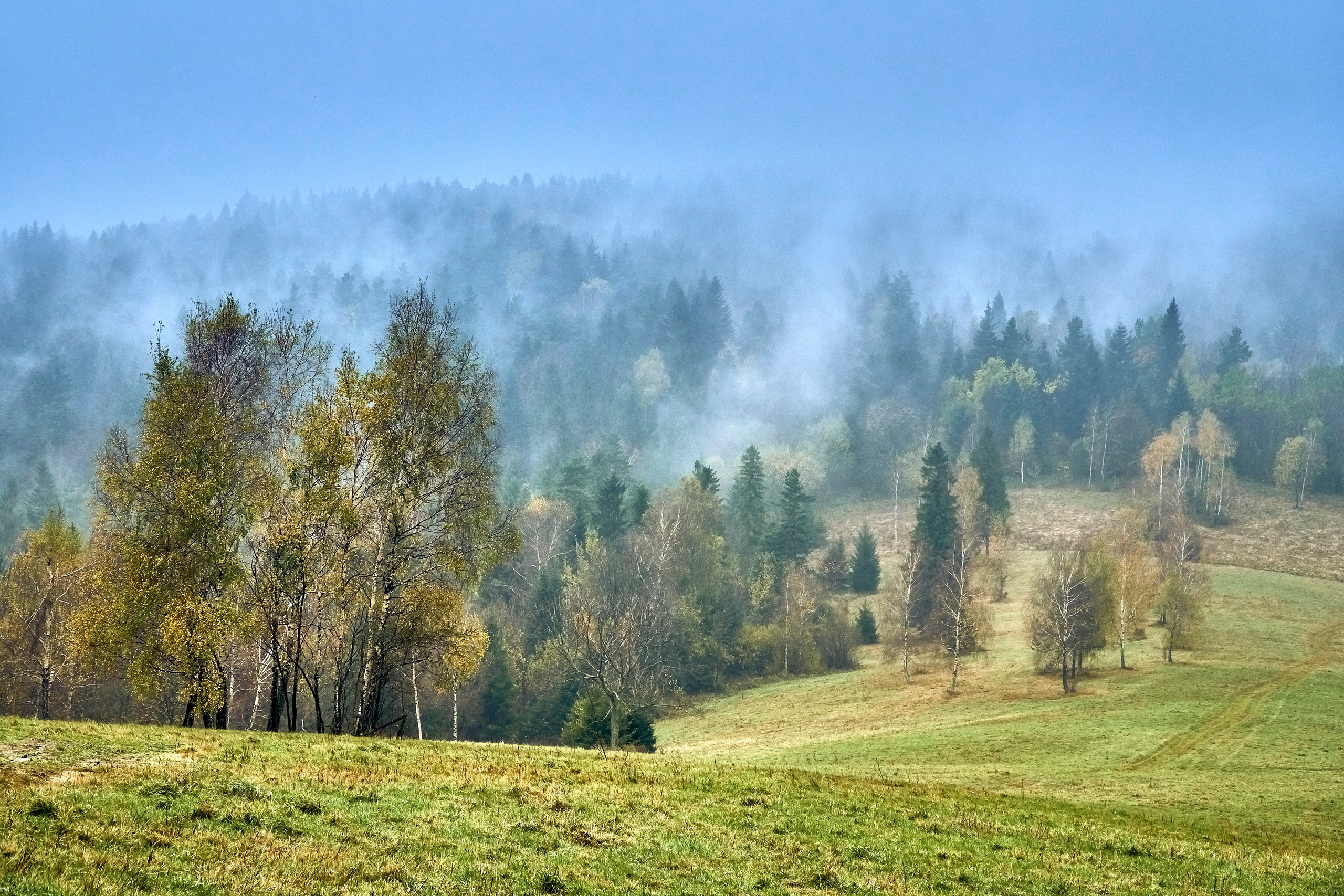 Bieszczady - tu zatrzymuje się czas. Andriej Szypilow - Fotografia & Wideografia