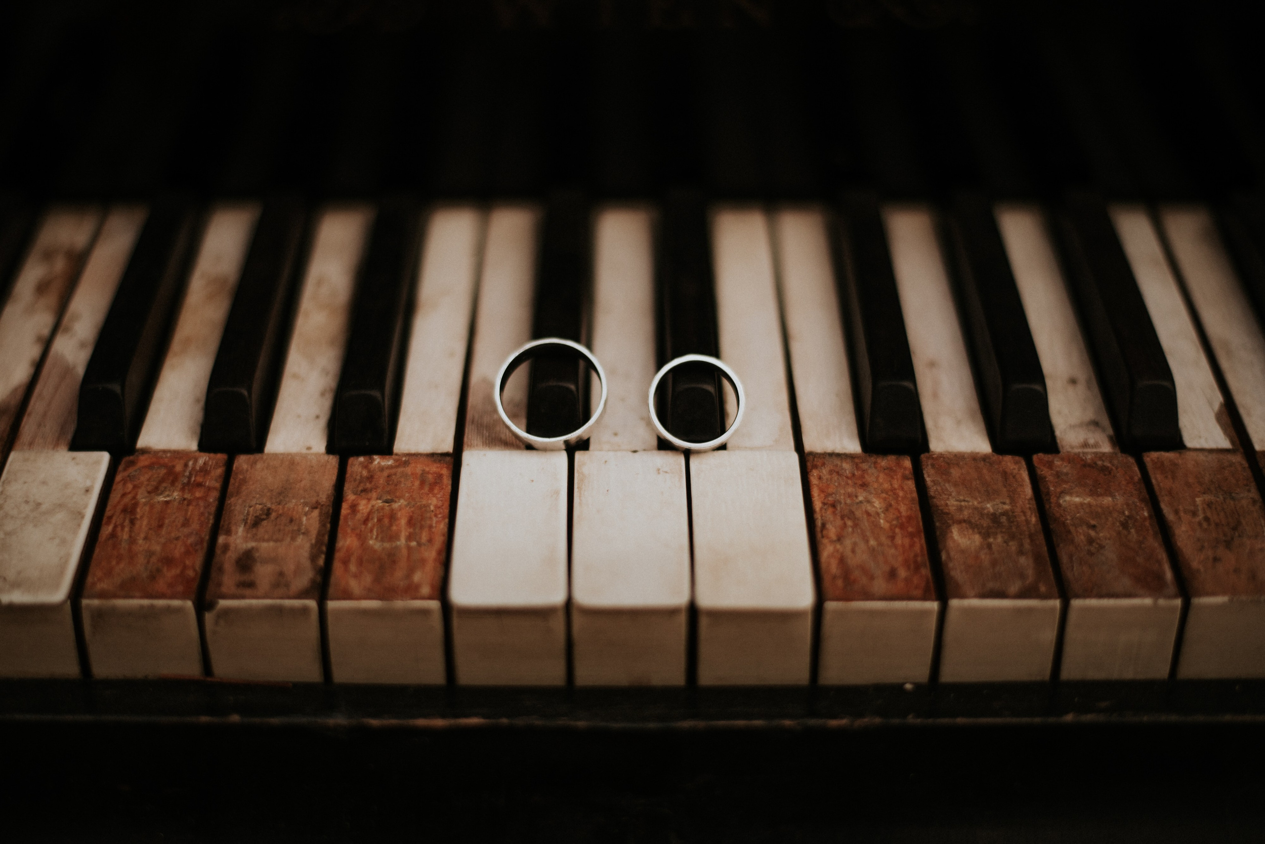 Luka Pejcic Photography