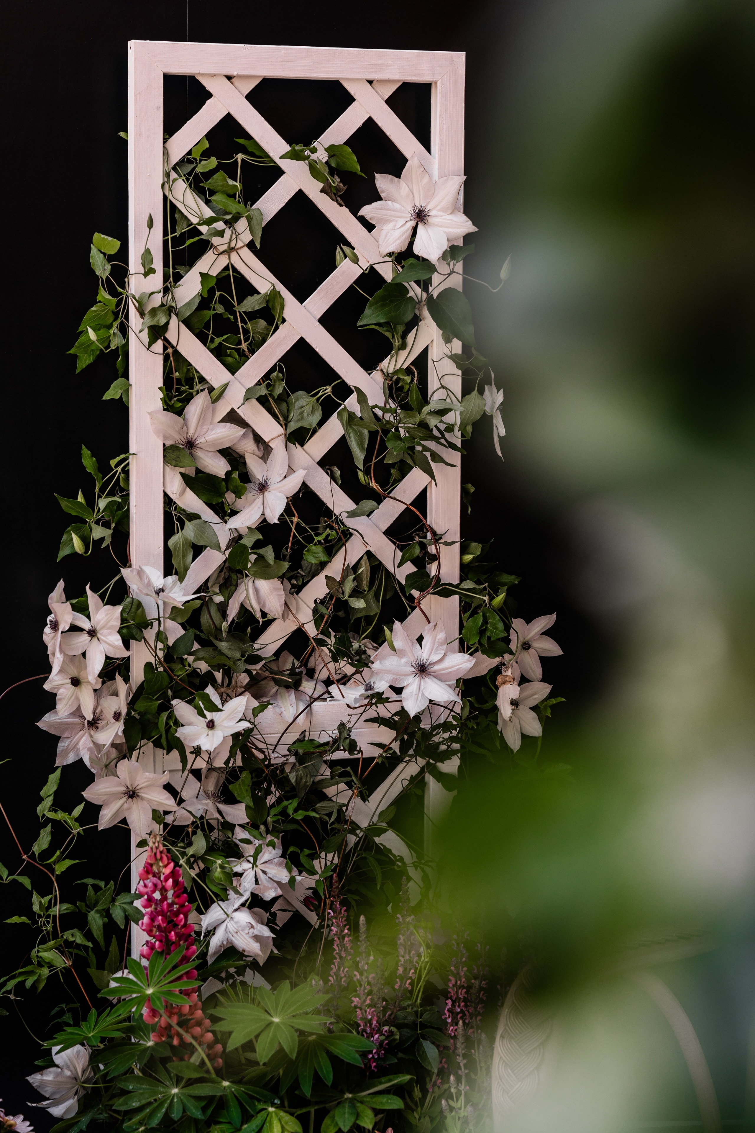 Chelsea_in_bloom. Tonya Kyrylenko photographer in London