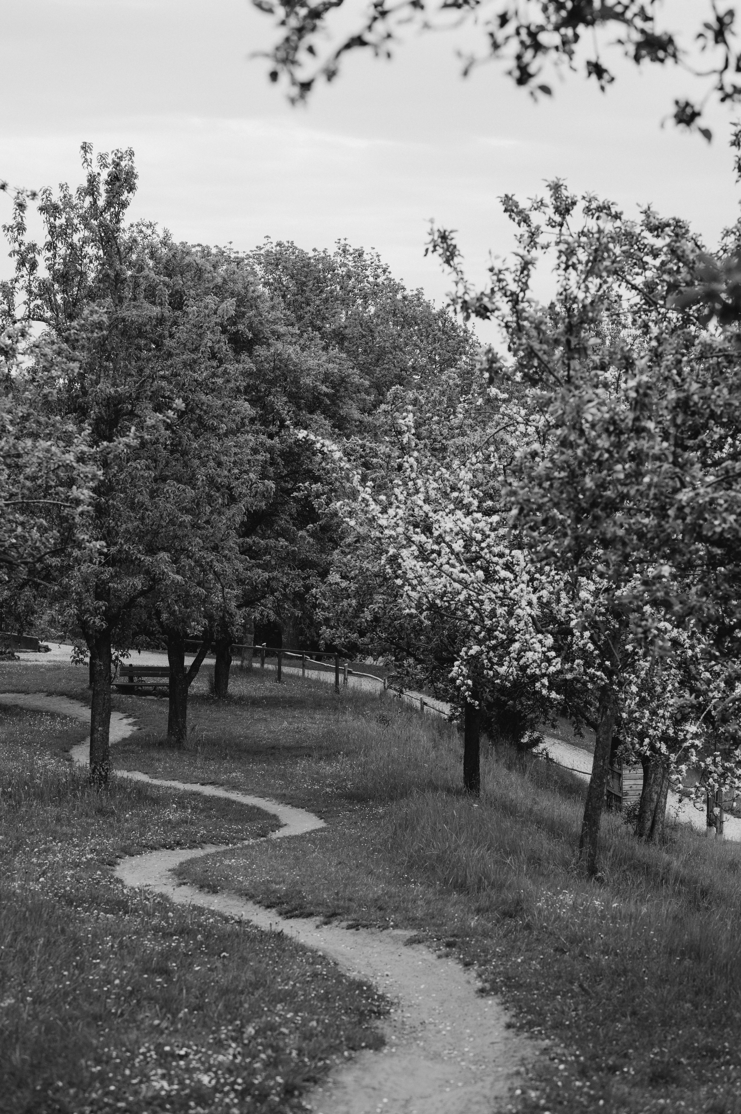 RAINY DAY IN HERRIEDEN. Photographer in Nuremberg Irina Mehnert from Ansbach