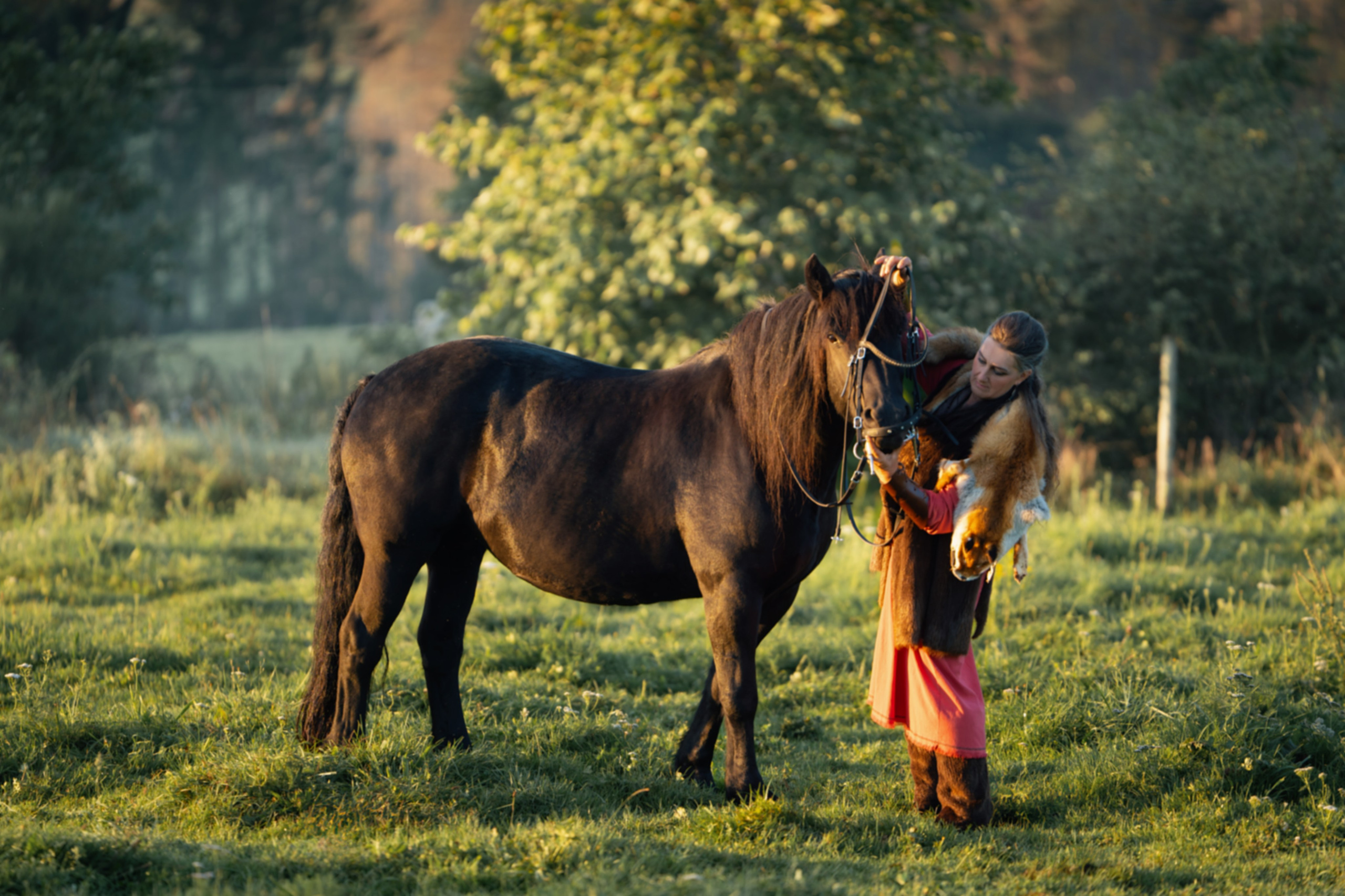 Geschichten mit dem Pferden. Kinder und Familienfotografie Wittlich und Trier Umgebung