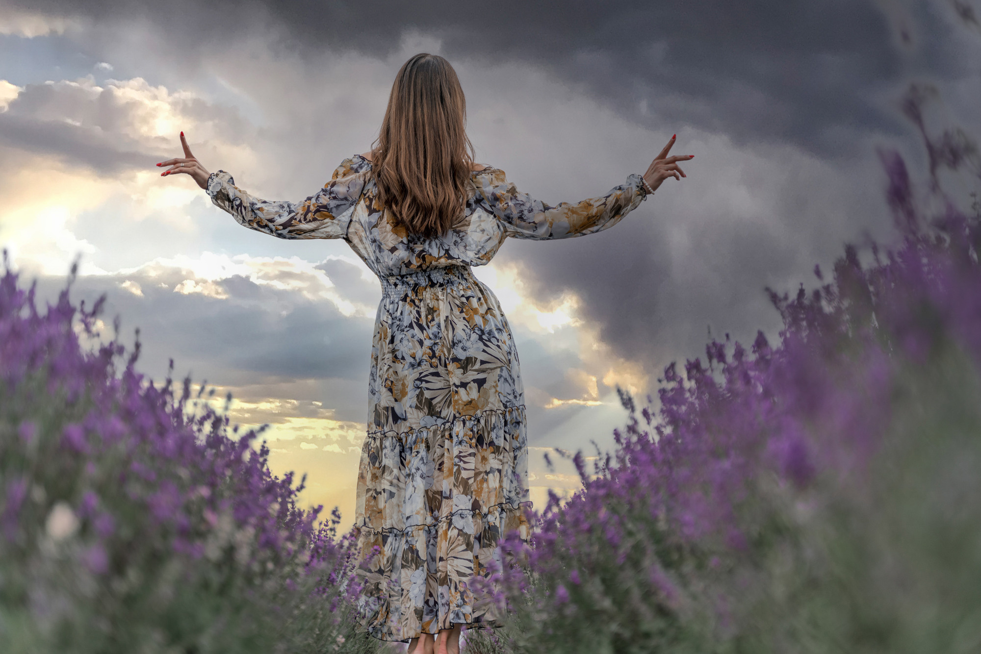 Lavender farm. Hitchin. Charming Svetlana. Photographer in England Ekaterina Romanova