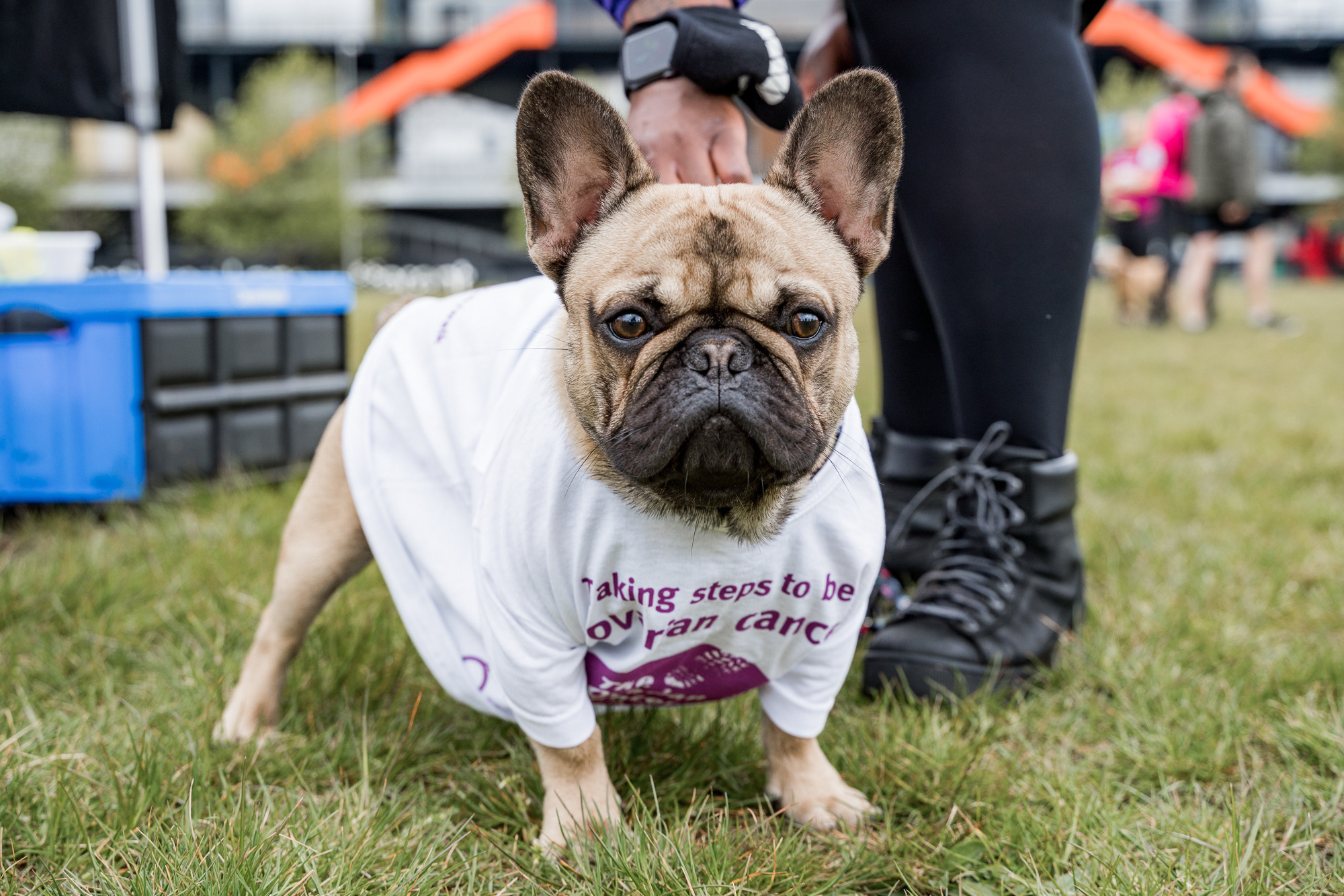 The Ovarian Cancer Walk|Run London. Photographer in England Ekaterina Romanova
