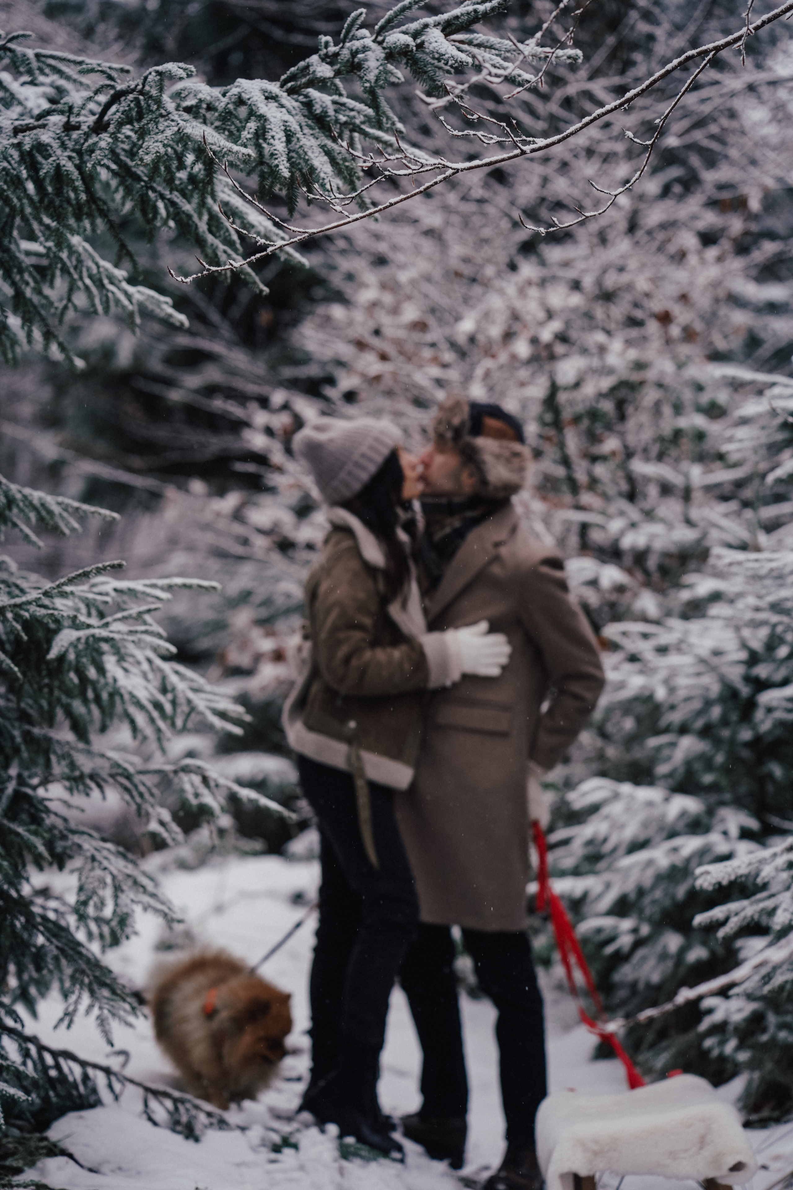 Катя, Егор и пушистый Филюша. Семейный, детский и женский фотограф в Германии, Трире