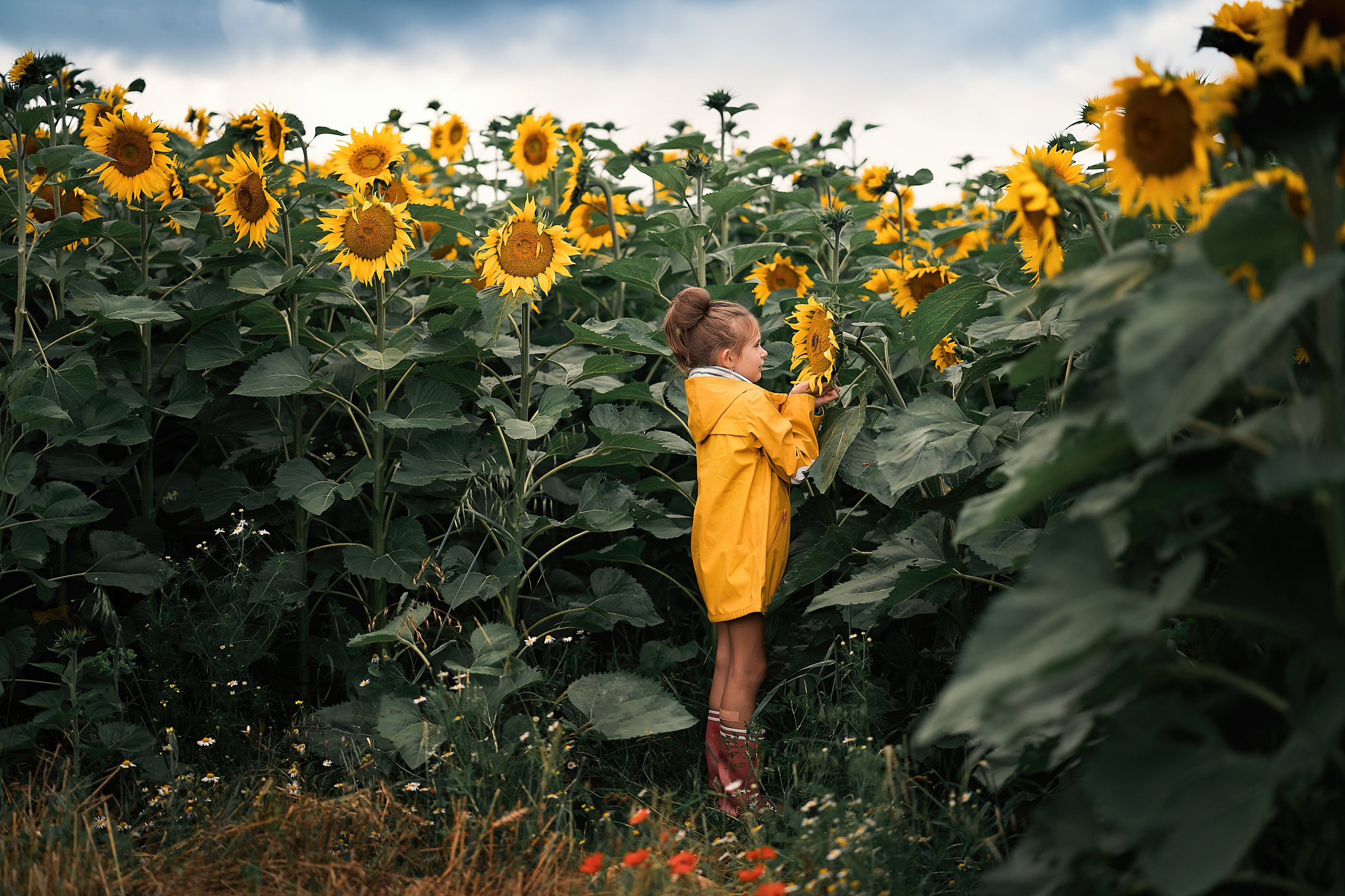 Family, Lifestyle and Portrait photograher in Trier, Germany