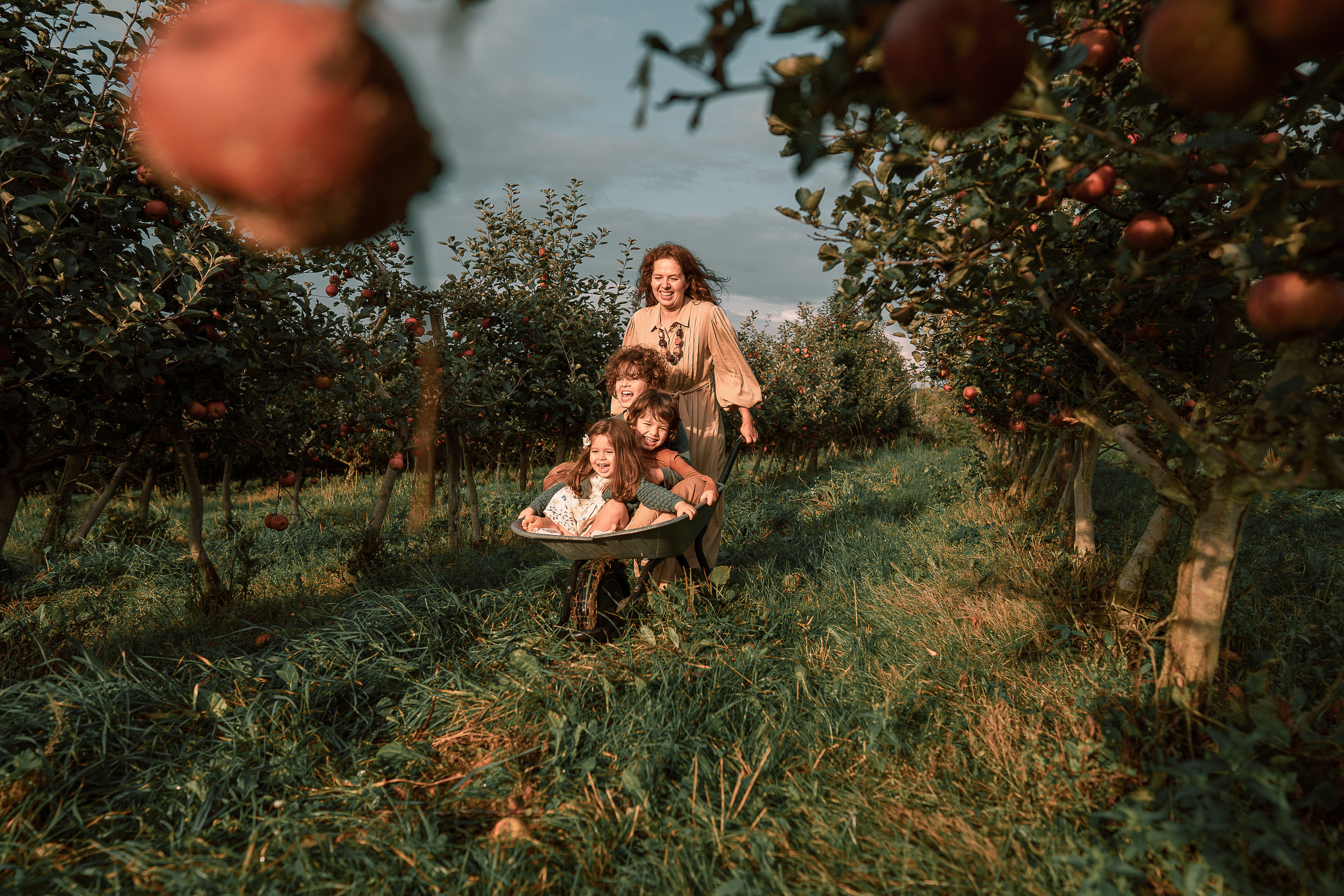 Apple Harvest. Family, Lifestyle and Portrait photograher in Trier, Germany