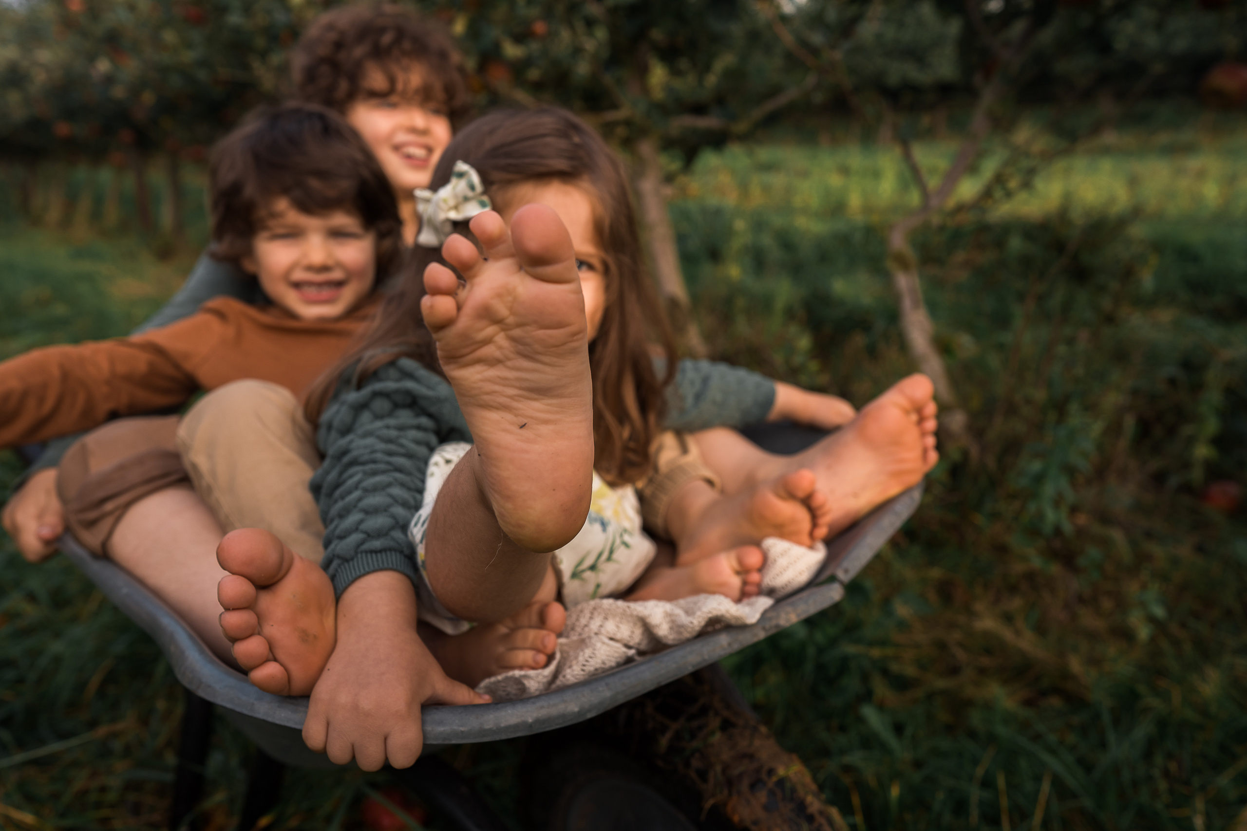 Apple Harvest. Family, Lifestyle and Portrait photograher in Trier, Germany