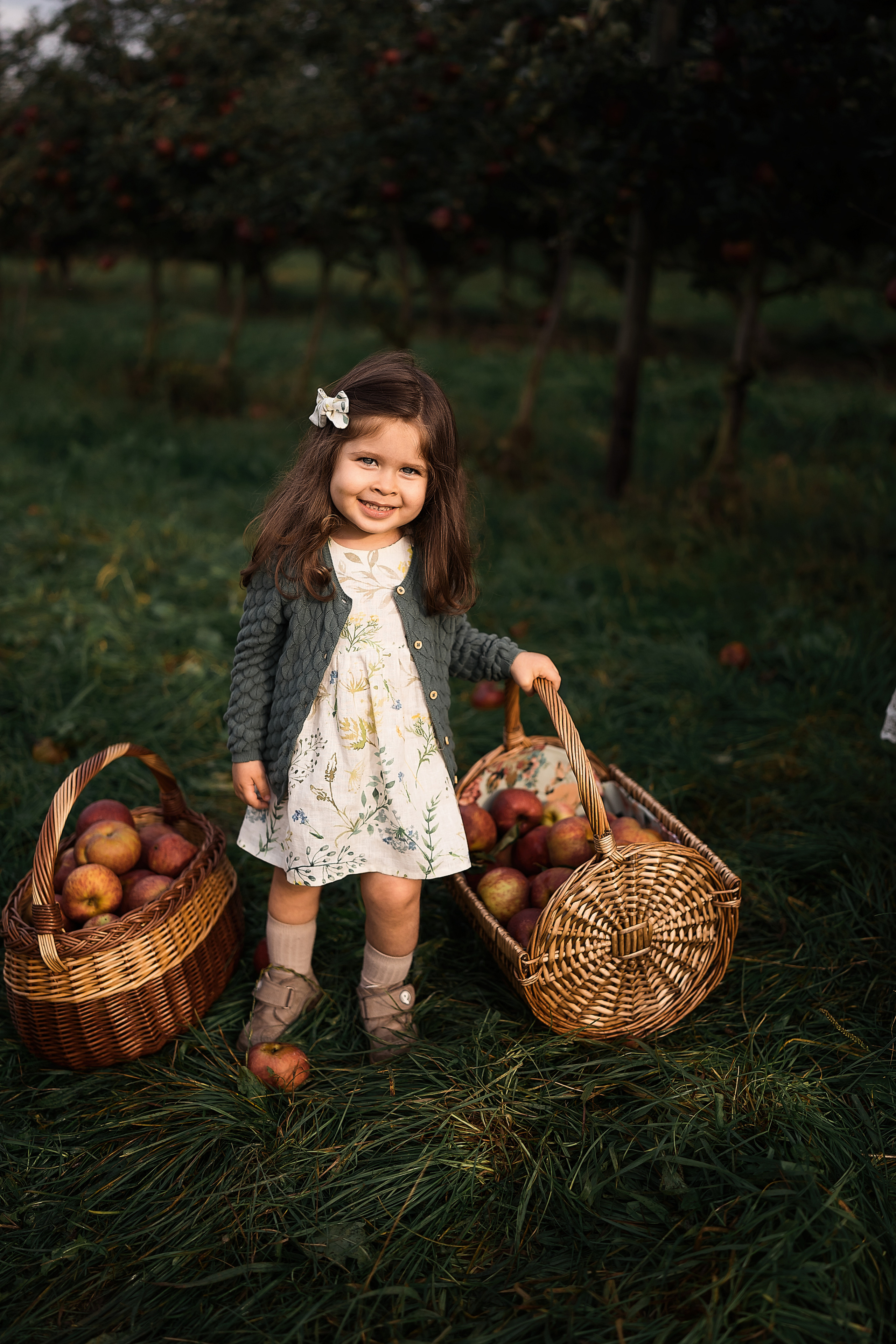 Apple Harvest. Family, Lifestyle and Portrait photograher in Trier, Germany