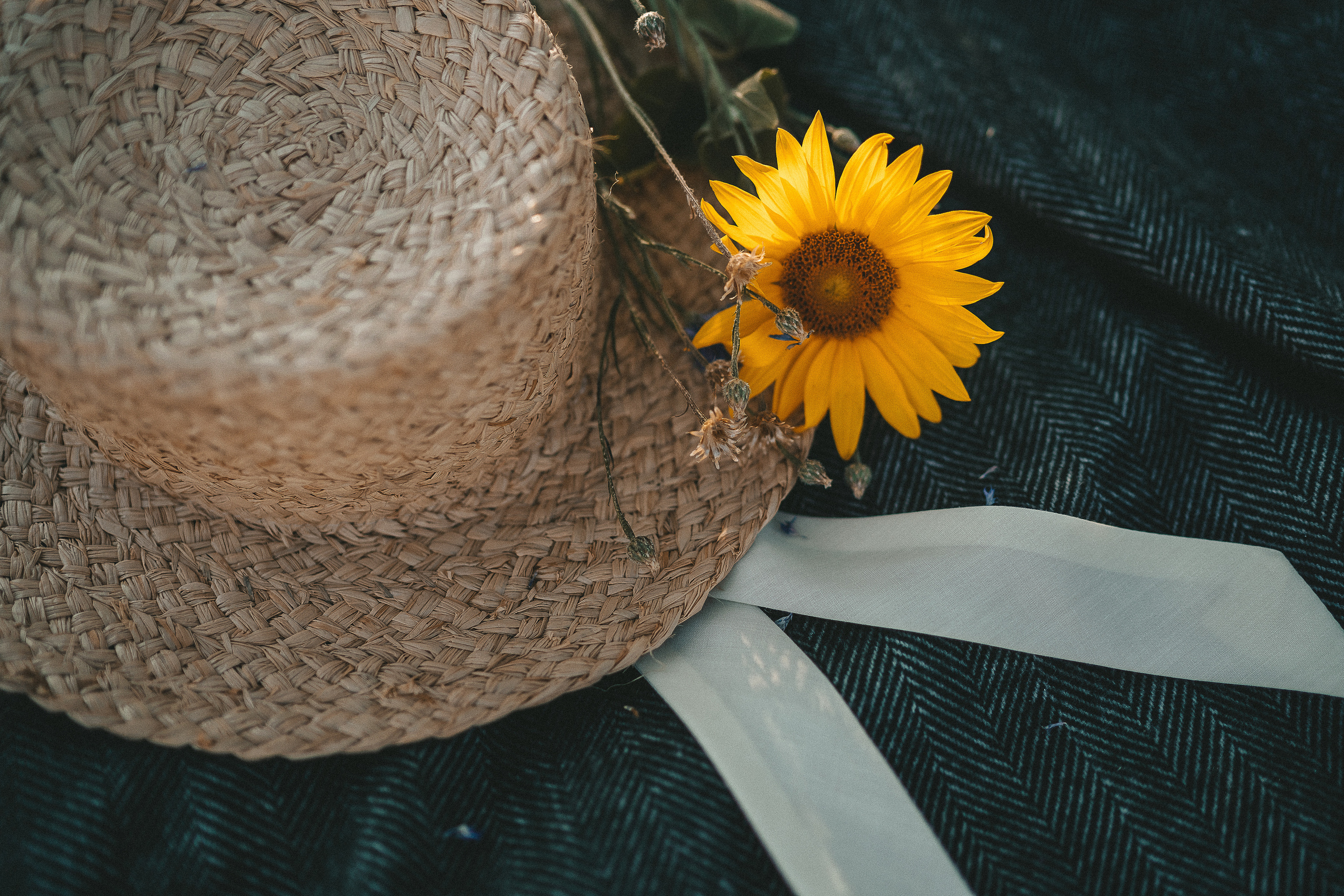 Customer’s feedback. Family, Lifestyle and Portrait photograher in Trier, Germany