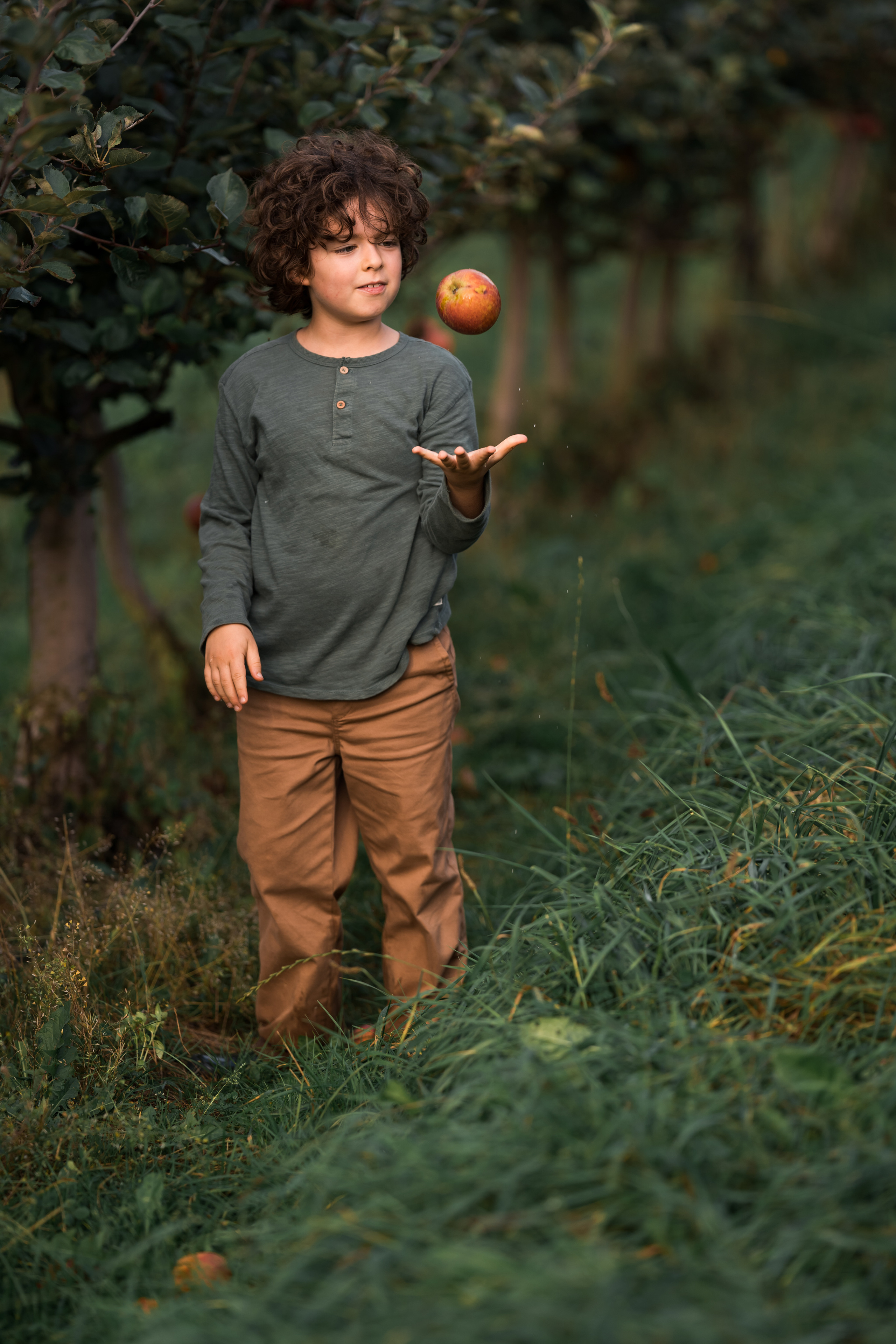 Apple Harvest. Family, Lifestyle and Portrait photograher in Trier, Germany