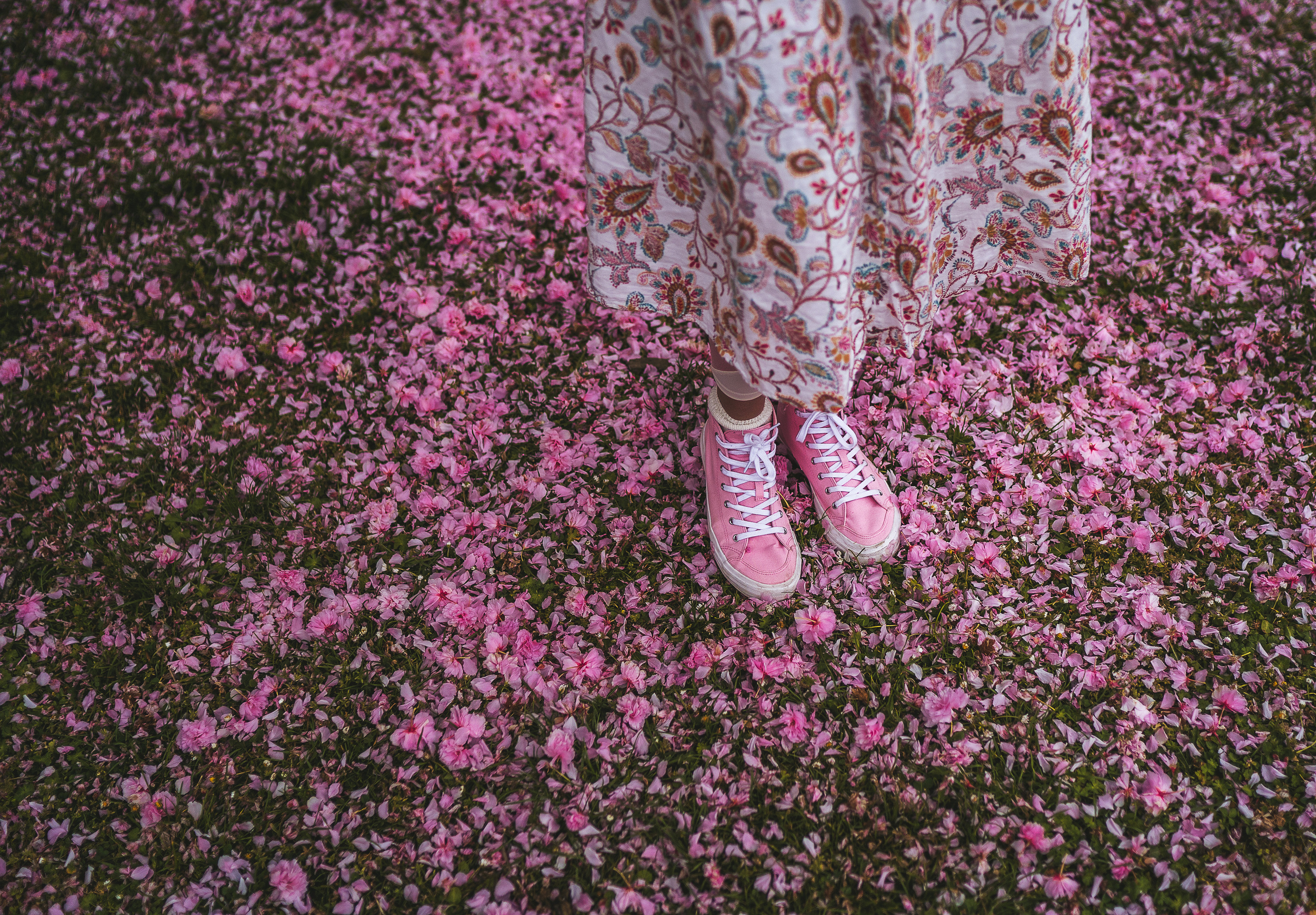 Ольга в цветущей сакуре. Семейный, детский и женский фотограф в Германии, Трире