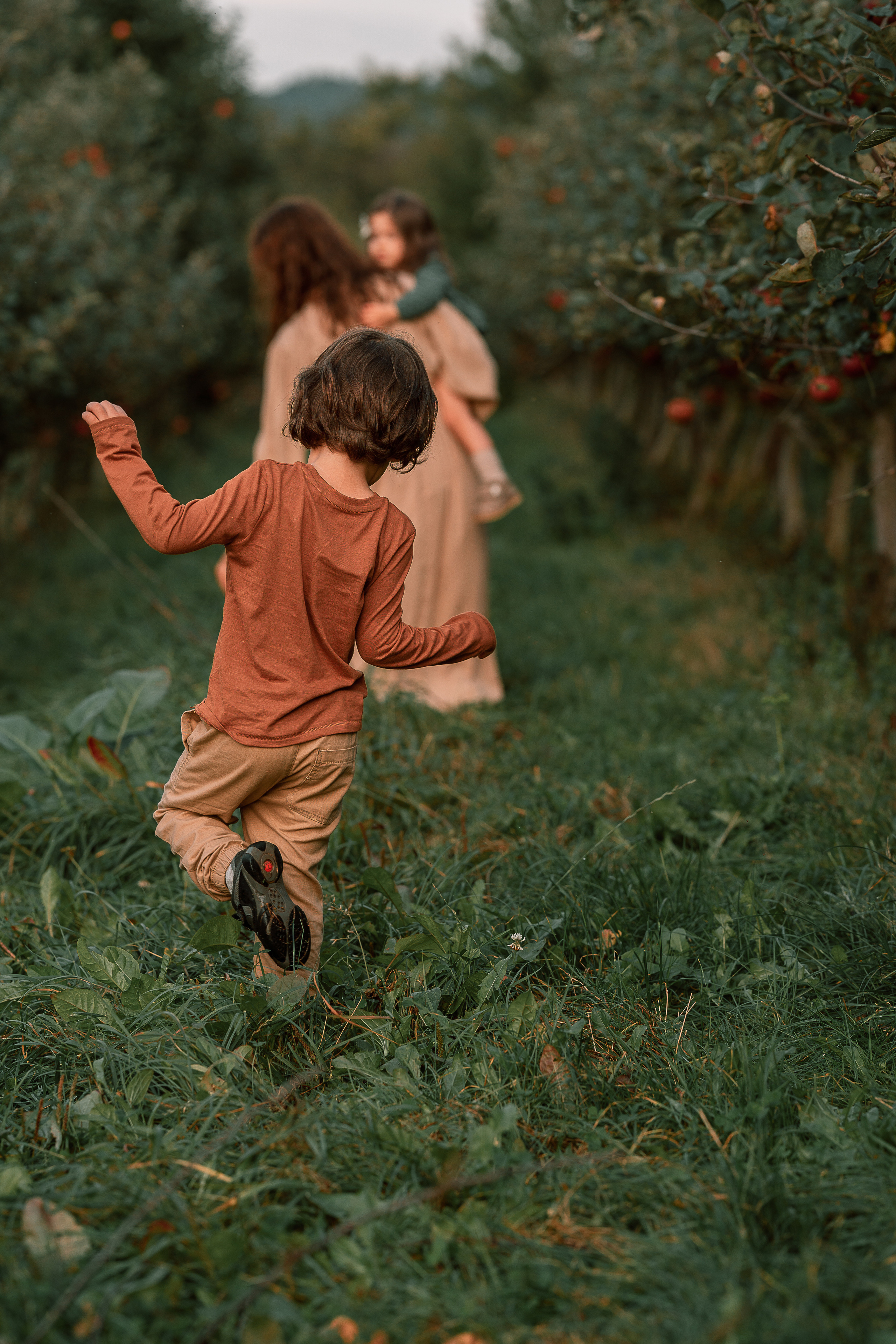 Apple Harvest. Family, Lifestyle and Portrait photograher in Trier, Germany