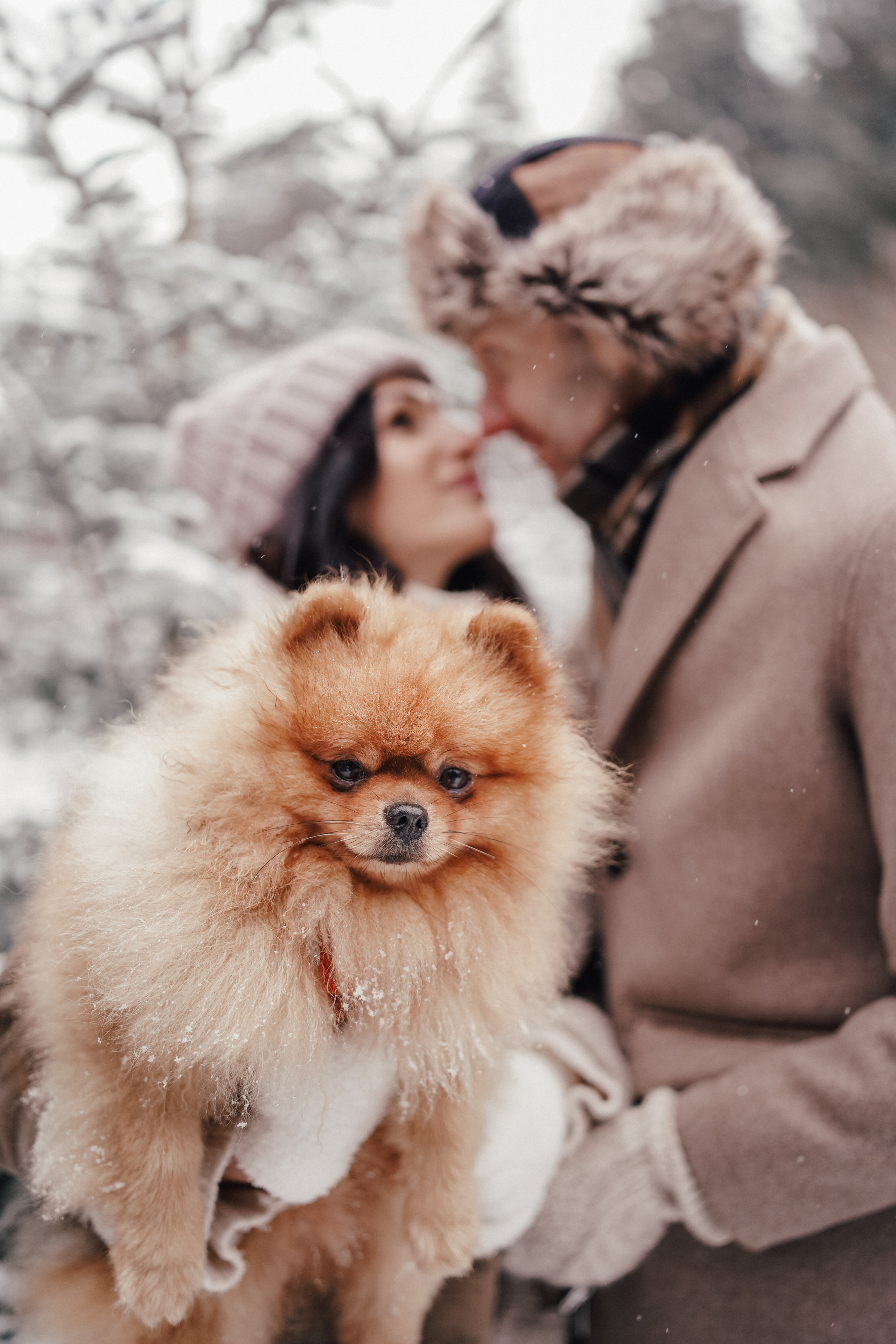 Катя, Егор и пушистый Филюша. Семейный, детский и женский фотограф в Германии, Трире