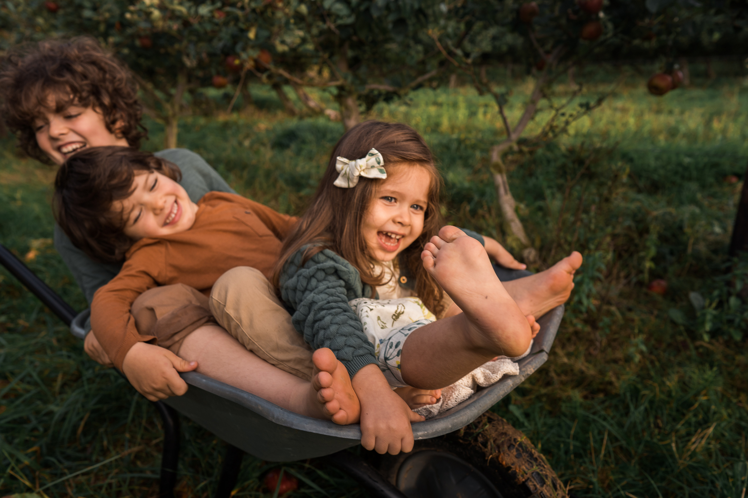 Apple Harvest. Family, Lifestyle and Portrait photograher in Trier, Germany