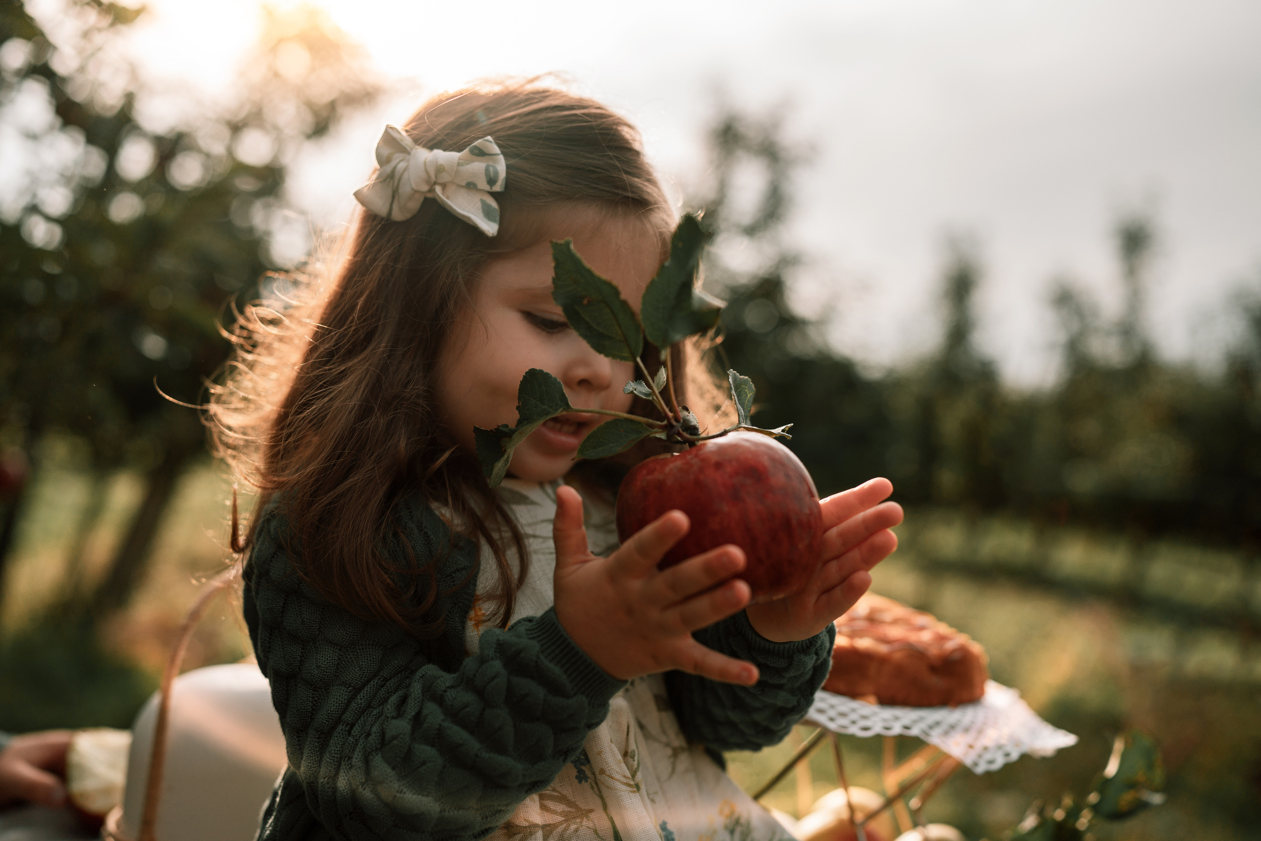 Apple Harvest. Family, Lifestyle and Portrait photograher in Trier, Germany