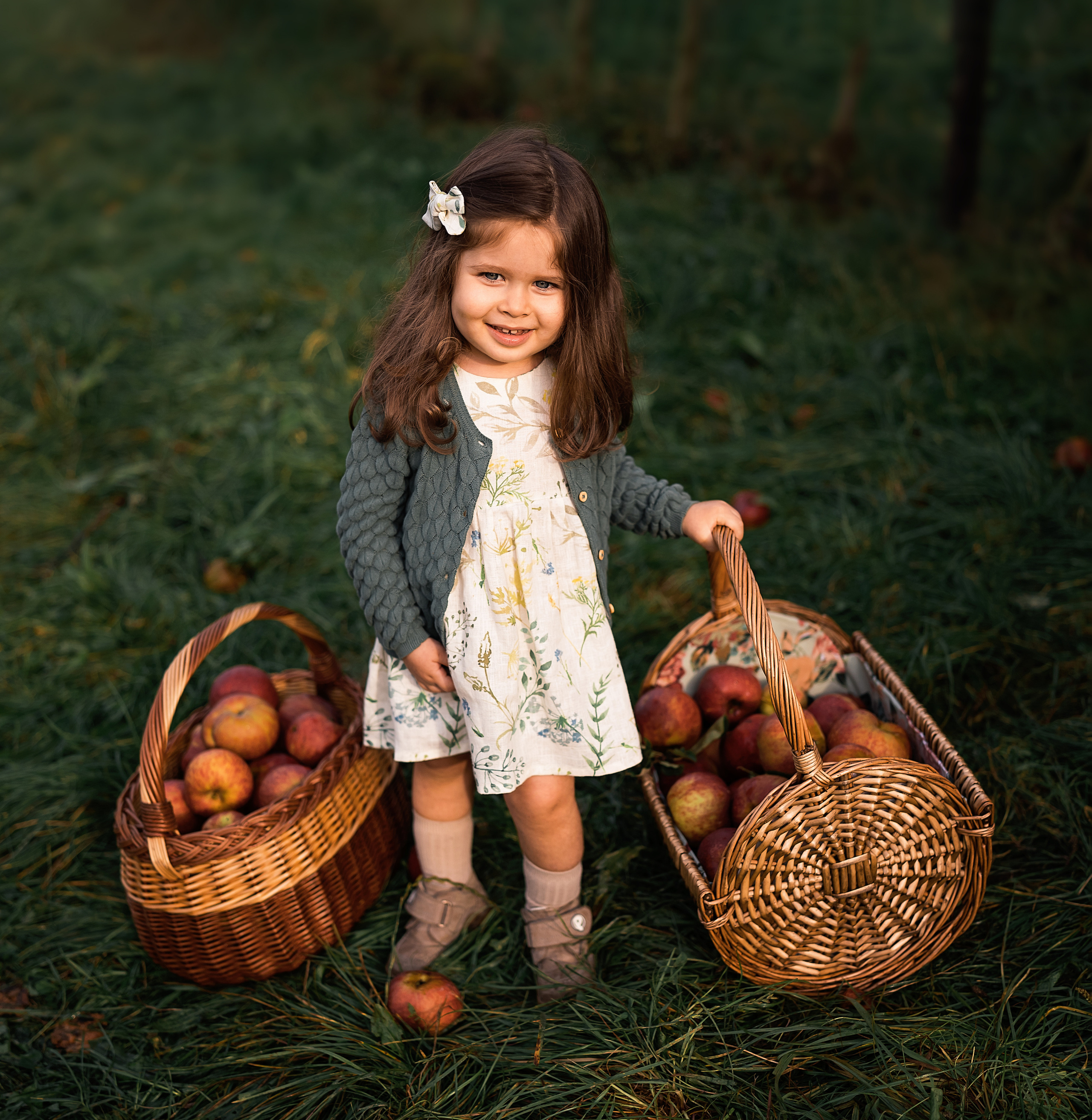 Apple Harvest. Family, Lifestyle and Portrait photograher in Trier, Germany