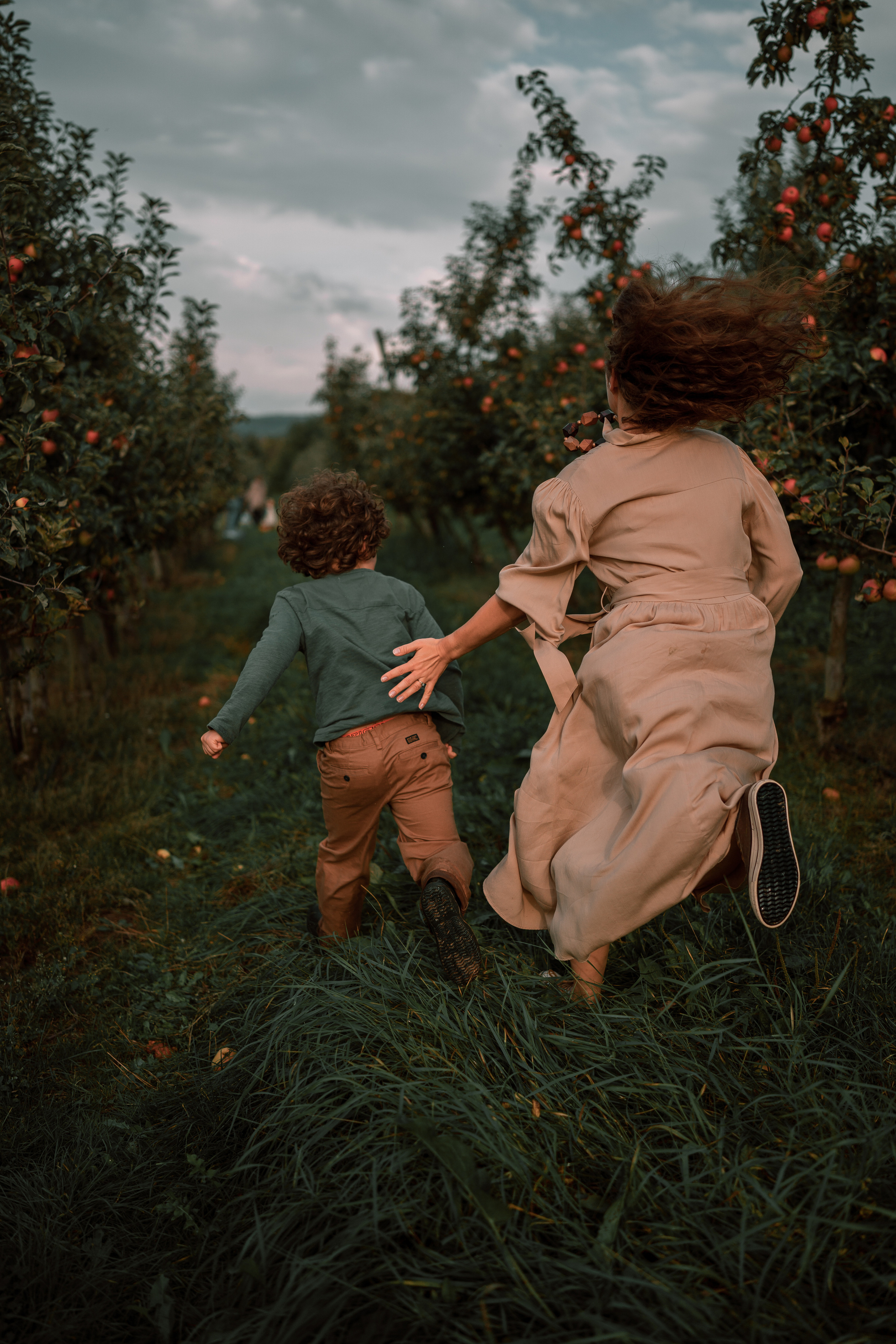 Apple Harvest. Family, Lifestyle and Portrait photograher in Trier, Germany