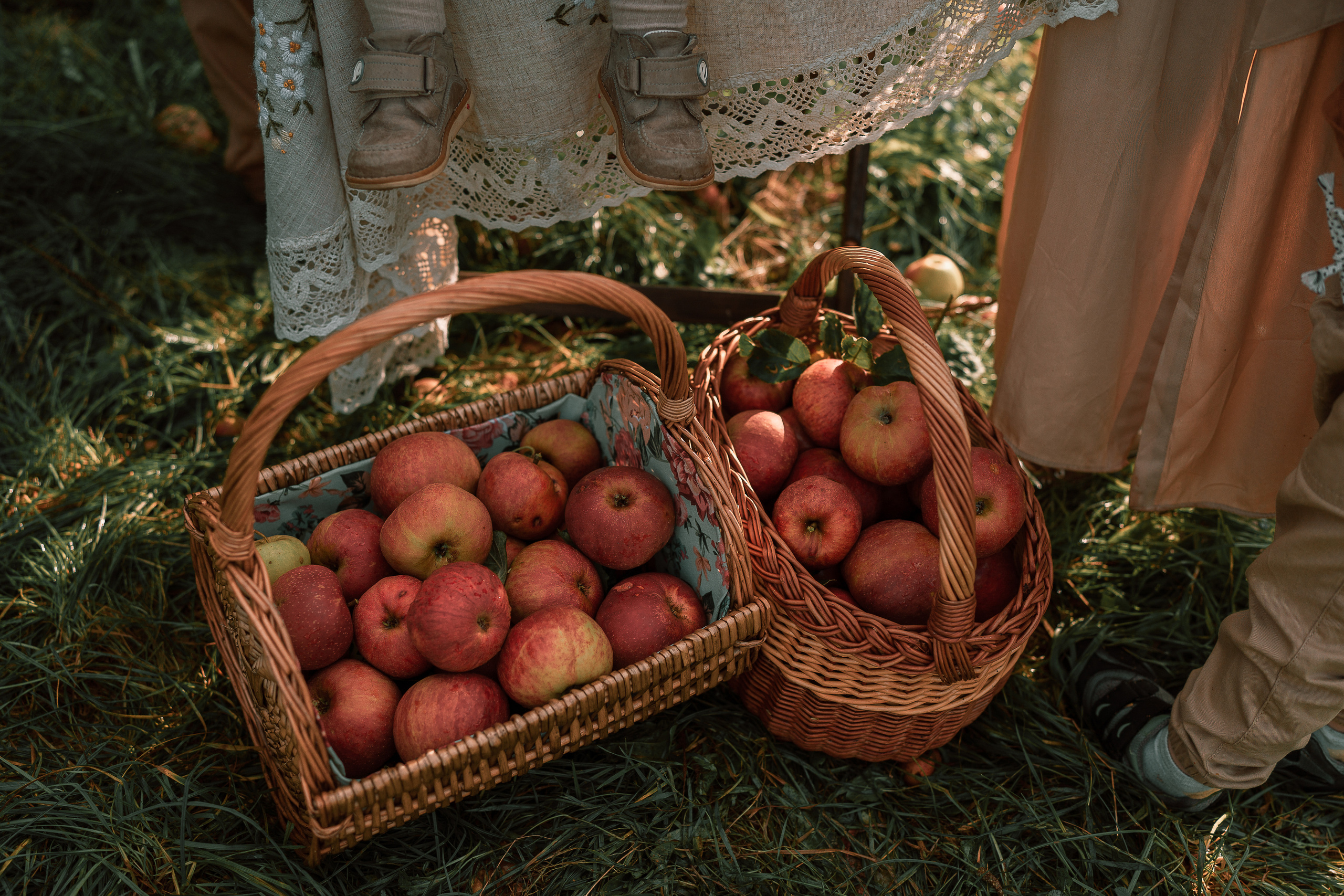 Apple Harvest. Family, Lifestyle and Portrait photograher in Trier, Germany