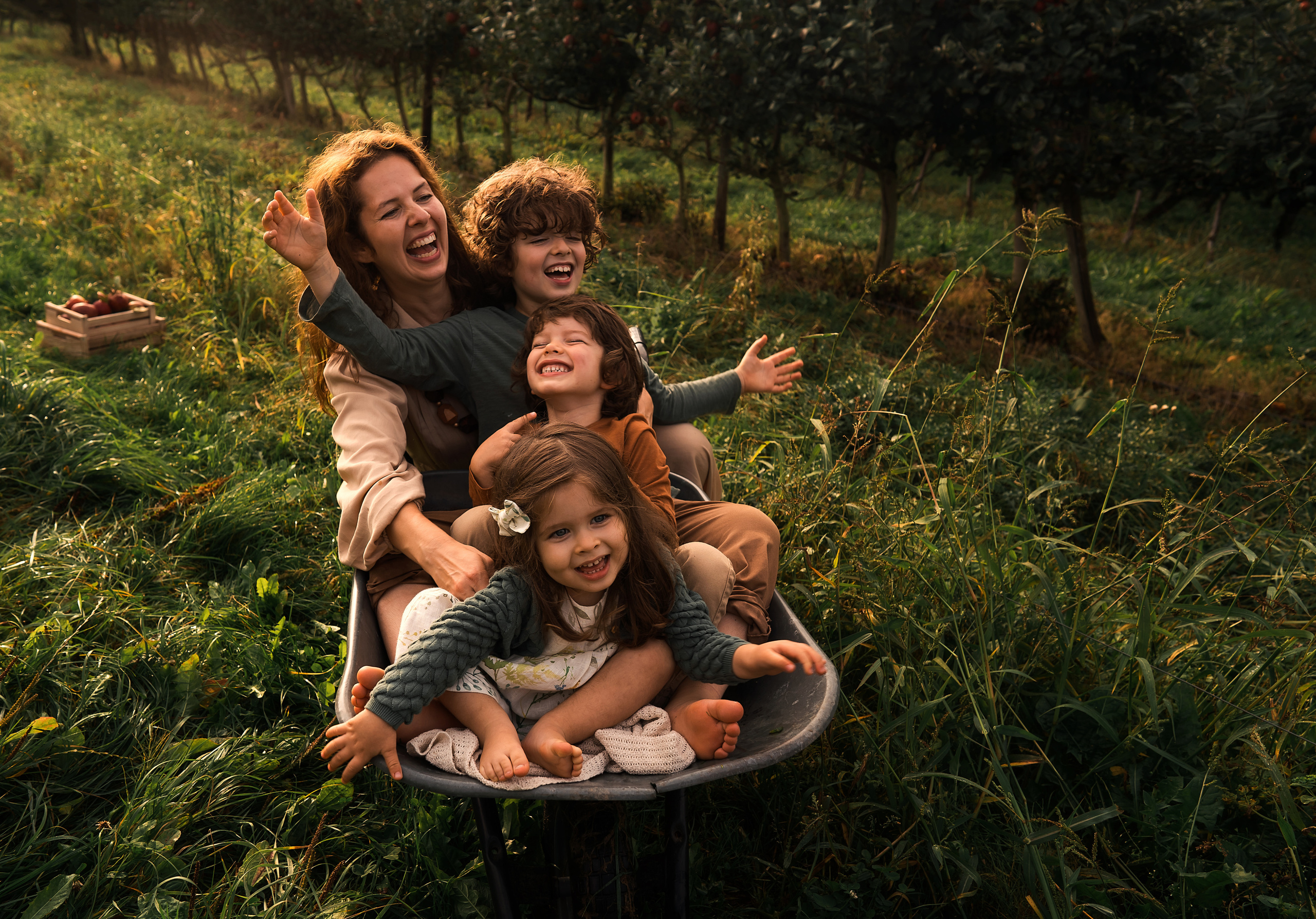 Apple Harvest. Family, Lifestyle and Portrait photograher in Trier, Germany