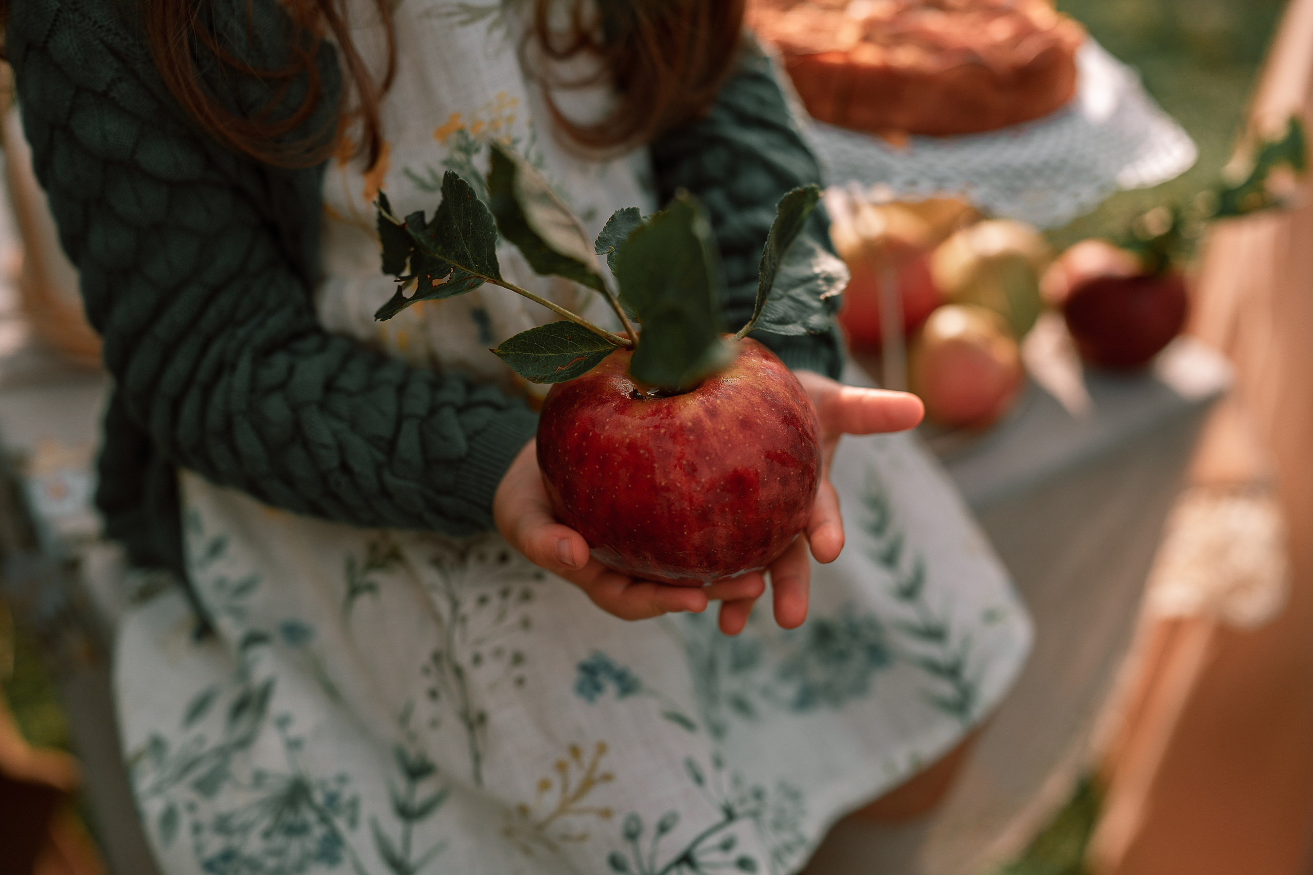 Apple Harvest. Family, Lifestyle and Portrait photograher in Trier, Germany
