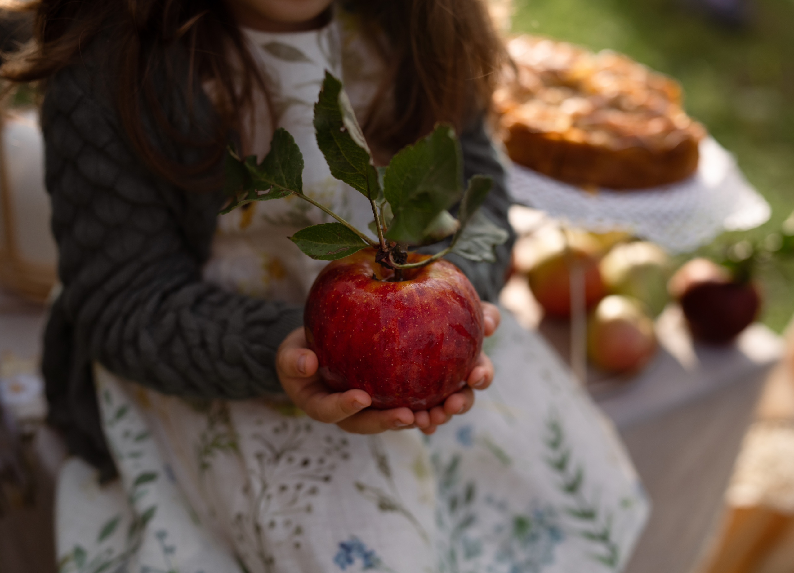 Apple Harvest. Family, Lifestyle and Portrait photograher in Trier, Germany