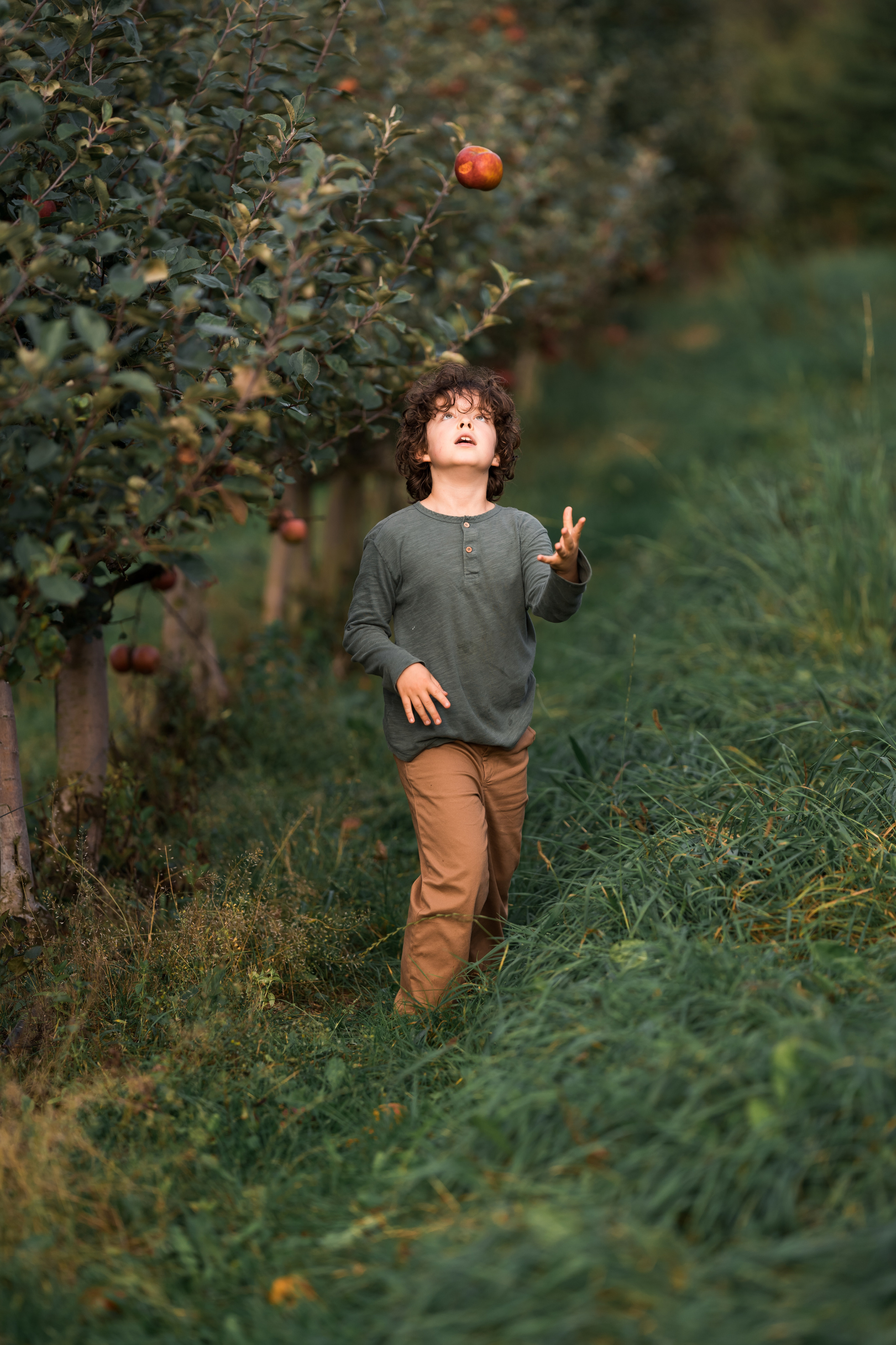 Apple Harvest. Family, Lifestyle and Portrait photograher in Trier, Germany