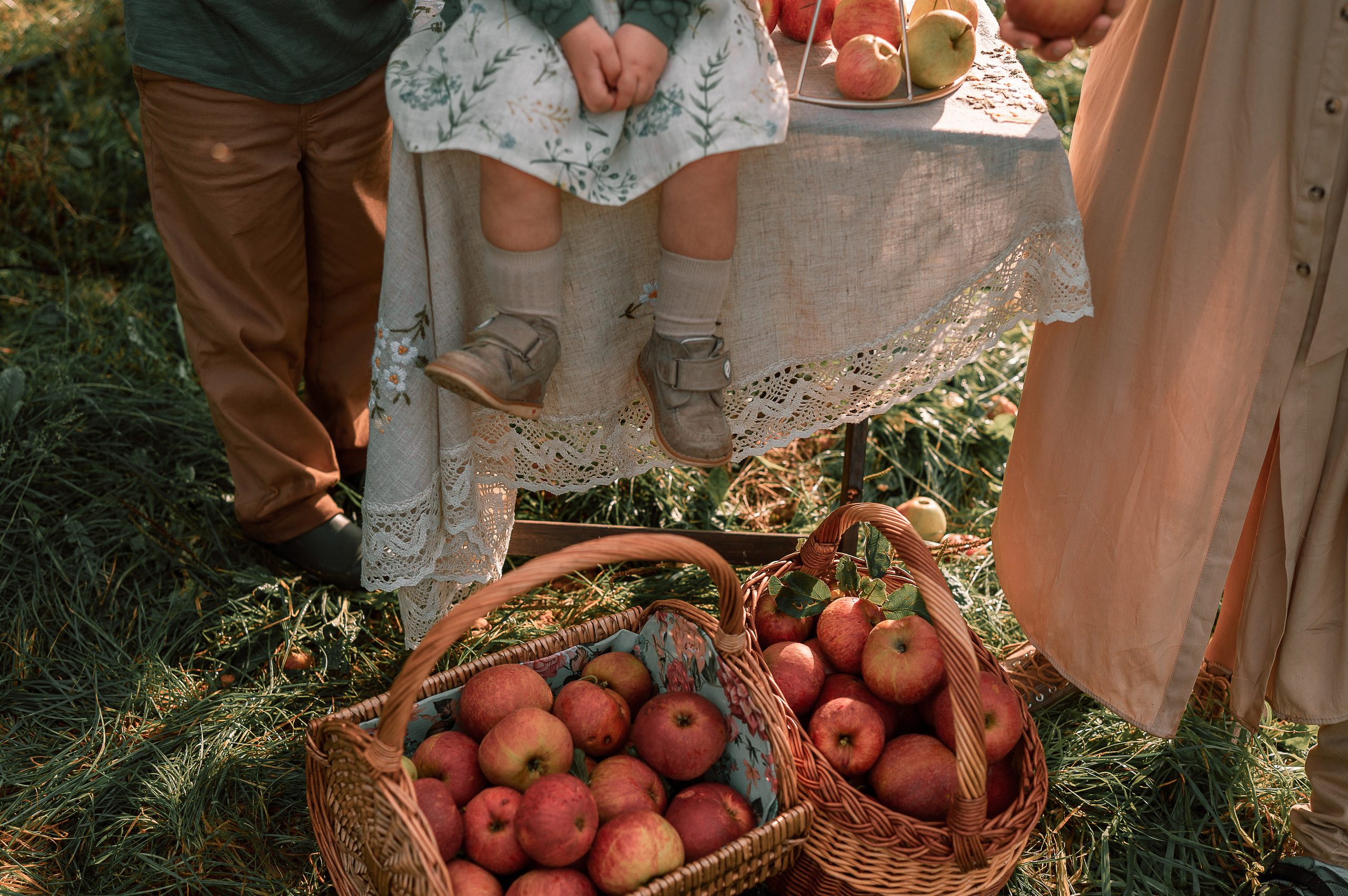 Apple Harvest. Family, Lifestyle and Portrait photograher in Trier, Germany