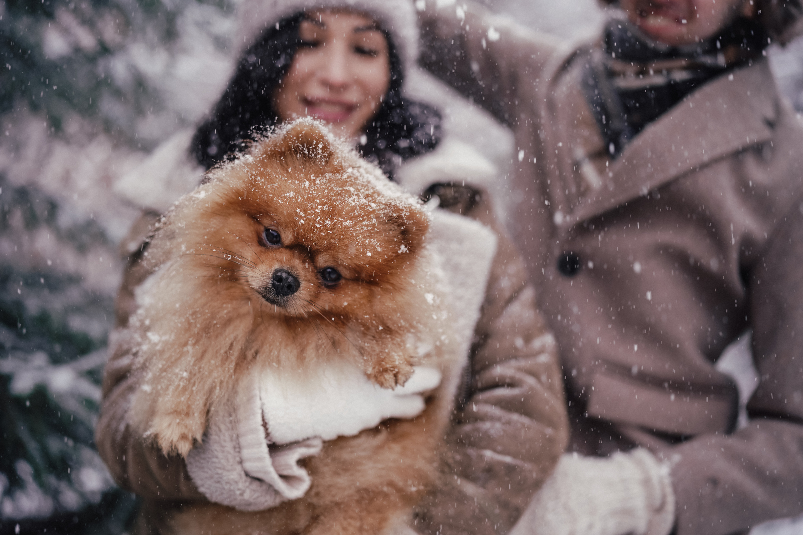 Катя, Егор и пушистый Филюша. Семейный, детский и женский фотограф в Германии, Трире