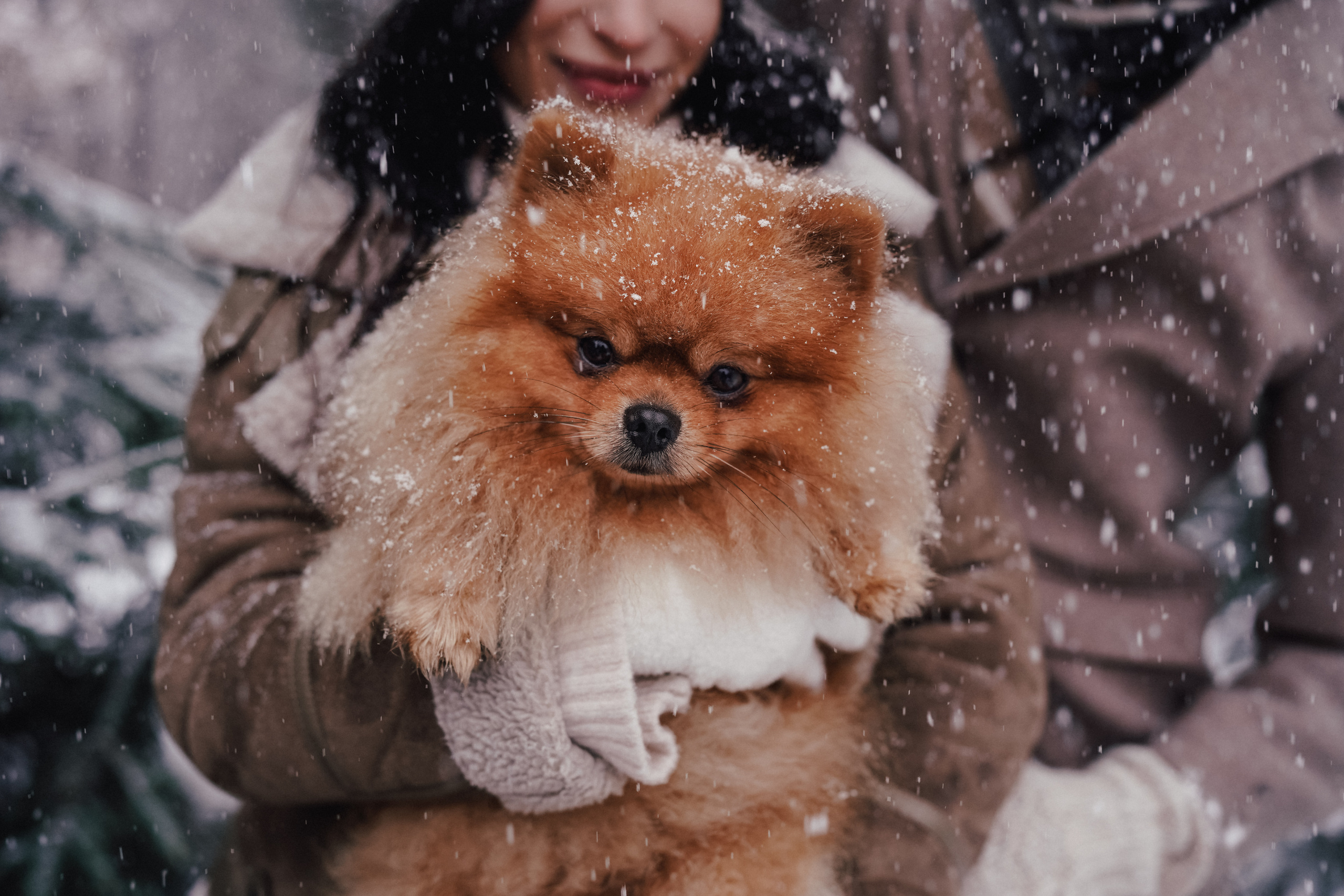Катя, Егор и пушистый Филюша. Семейный, детский и женский фотограф в Германии, Трире