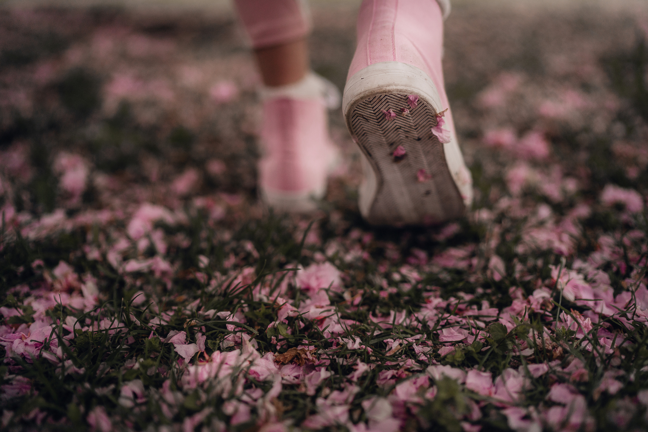 Ольга в цветущей сакуре. Семейный, детский и женский фотограф в Германии, Трире