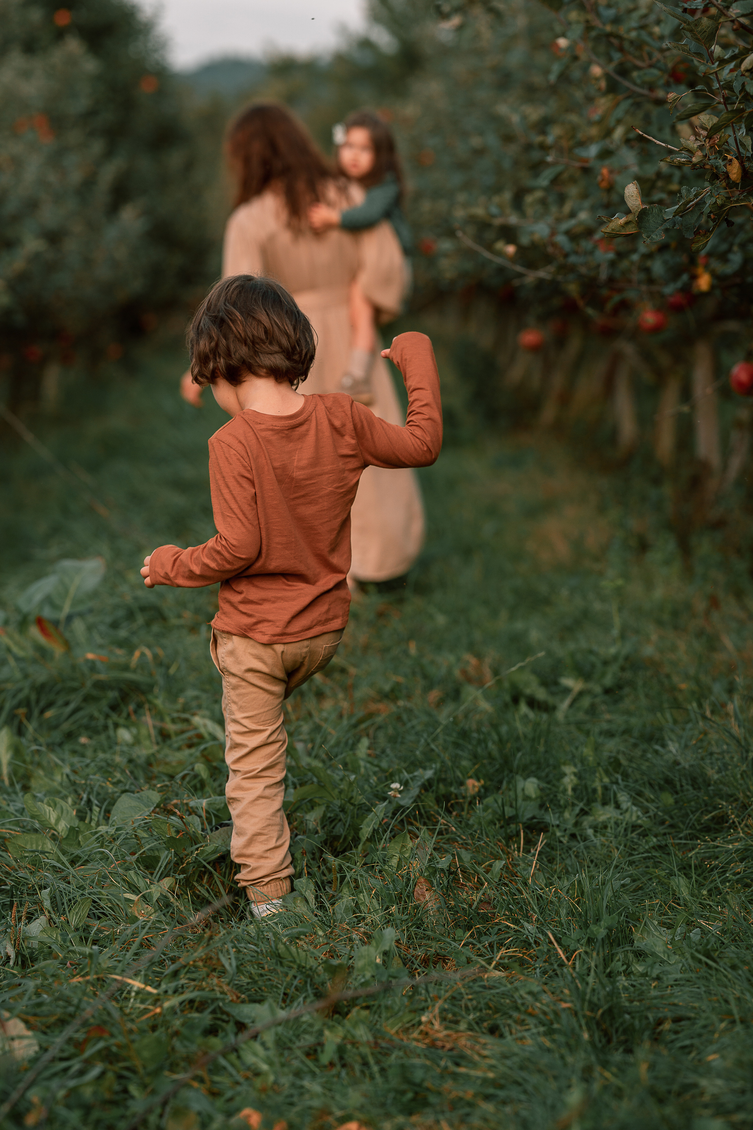 Apple Harvest. Family, Lifestyle and Portrait photograher in Trier, Germany