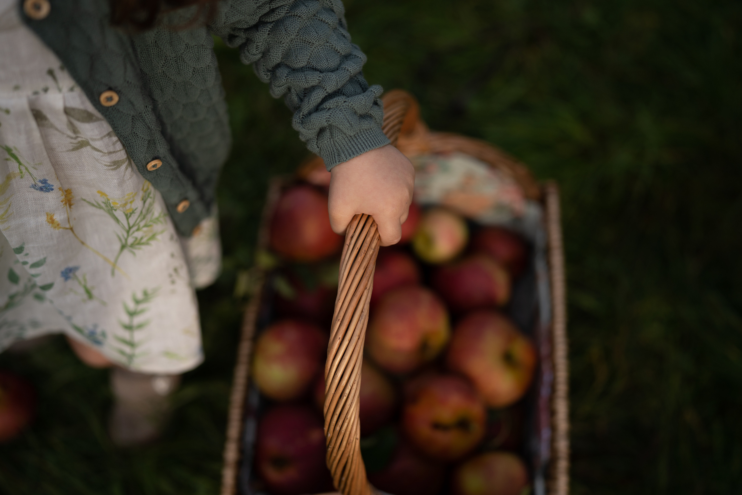 Apple Harvest. Family, Lifestyle and Portrait photograher in Trier, Germany