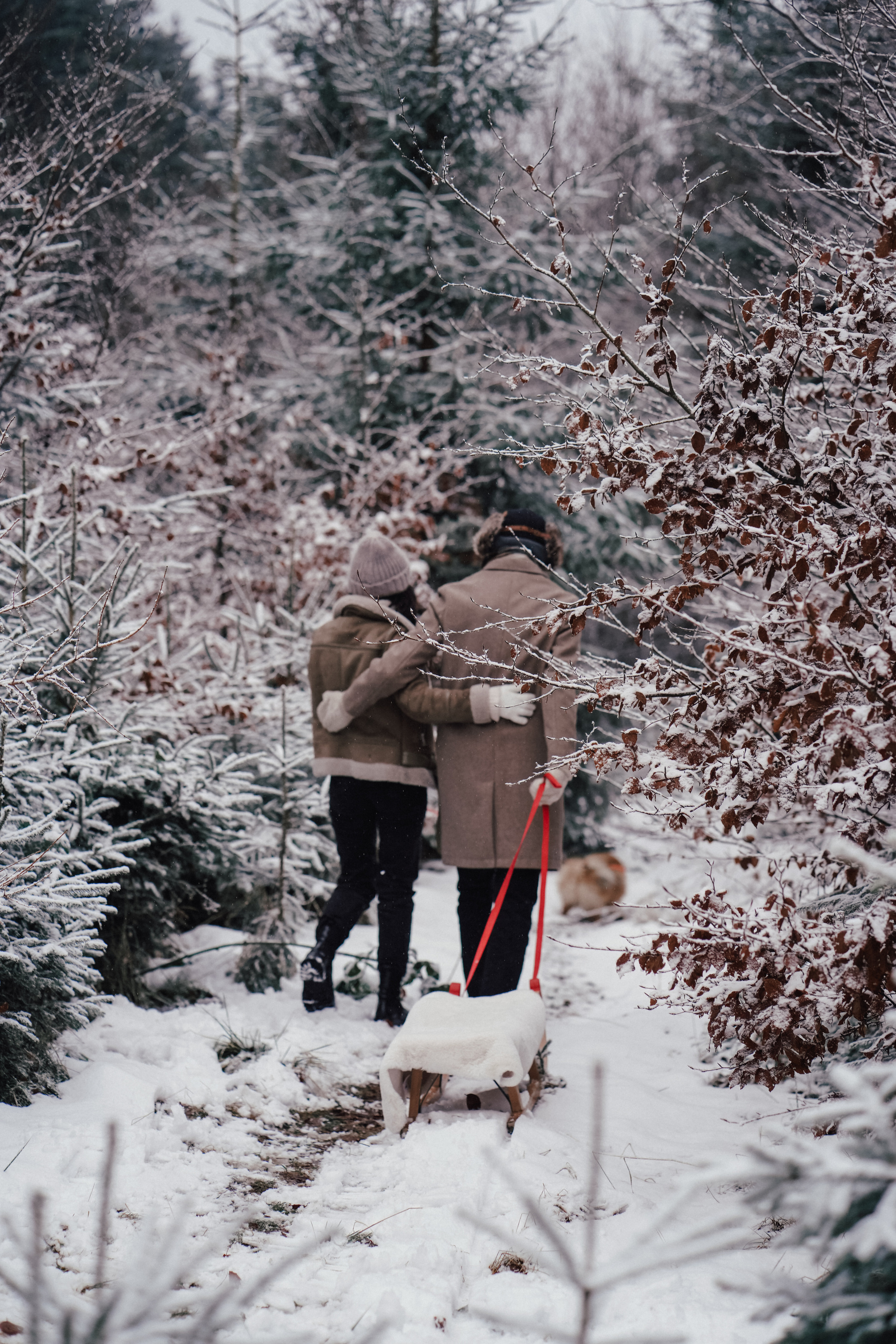 Катя, Егор и пушистый Филюша. Семейный, детский и женский фотограф в Германии, Трире