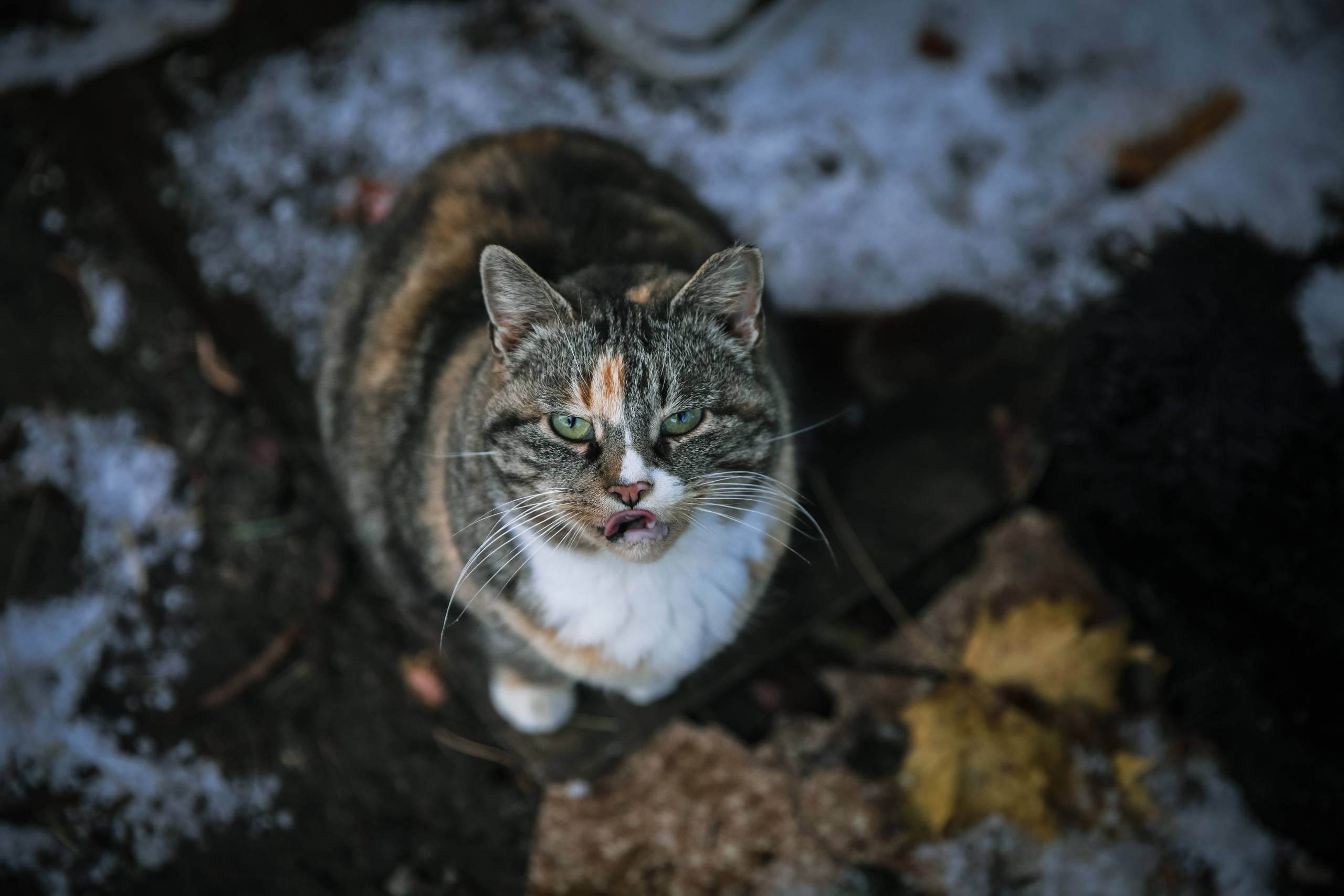 Documentary Photography & Film — Real Life, Unfiltered. Lifestyle & Documentary Photography in Bristol, Bath & London — def0cused