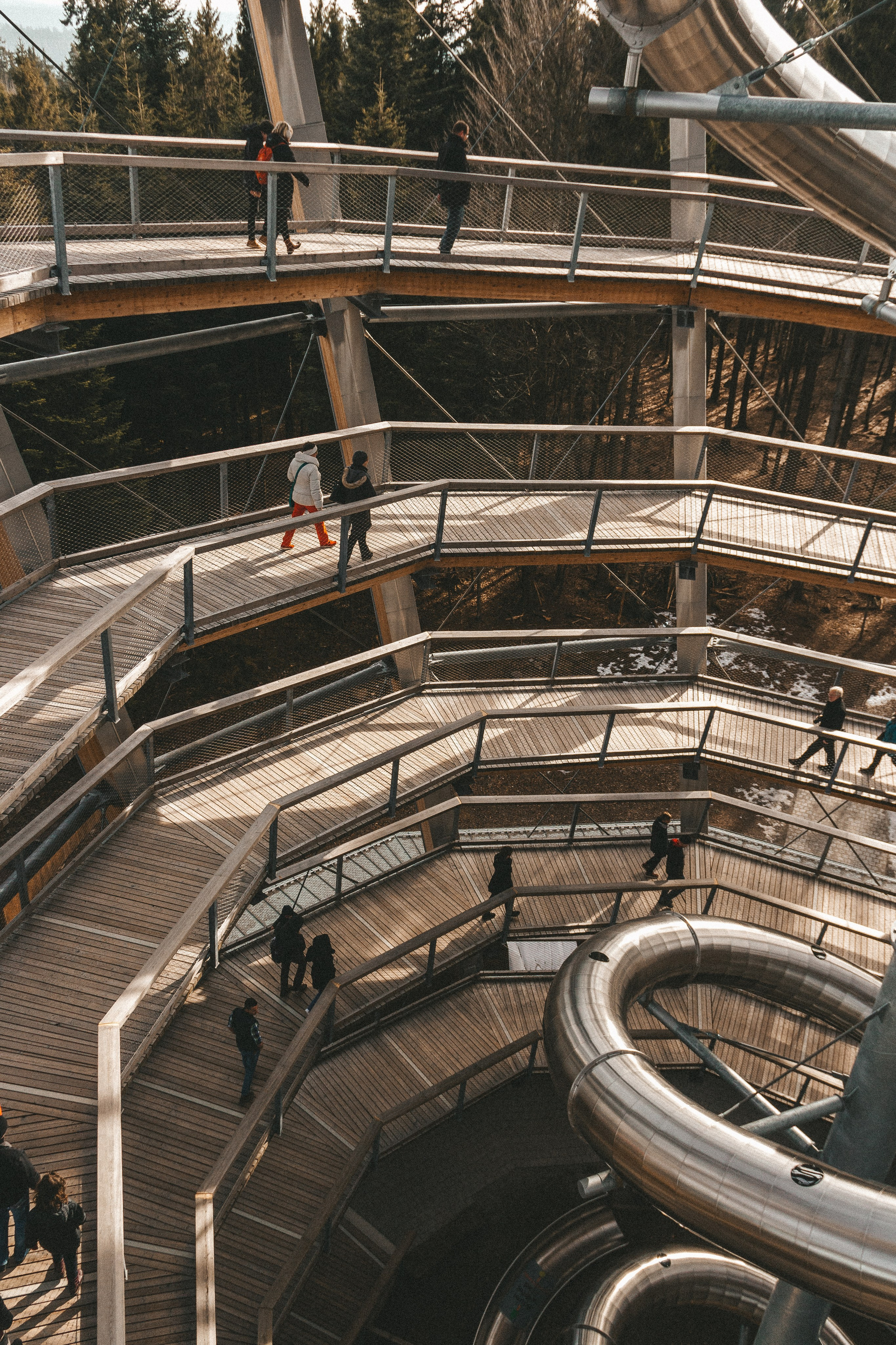 Над вершинами деревьев Baumwipfelpfad. Фотограф в Германии — Мария Чистякова