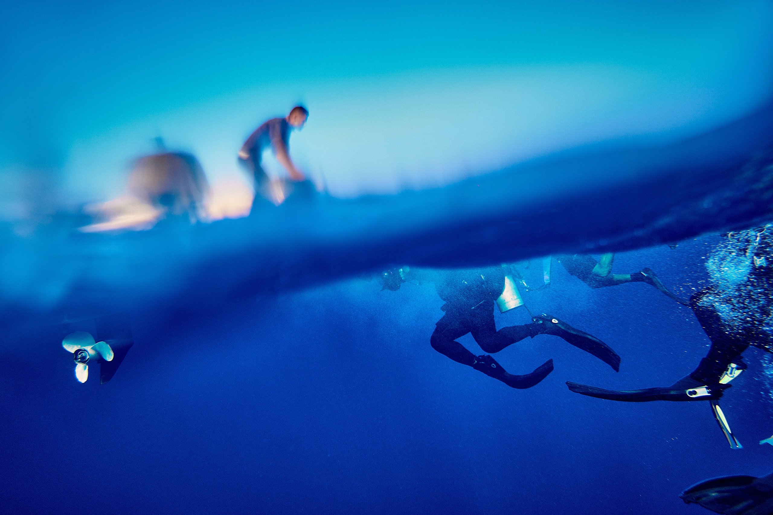 2023-11 - Diving Safari Deep South Egypt. Андрей Шипилов — Фотография & Видеография