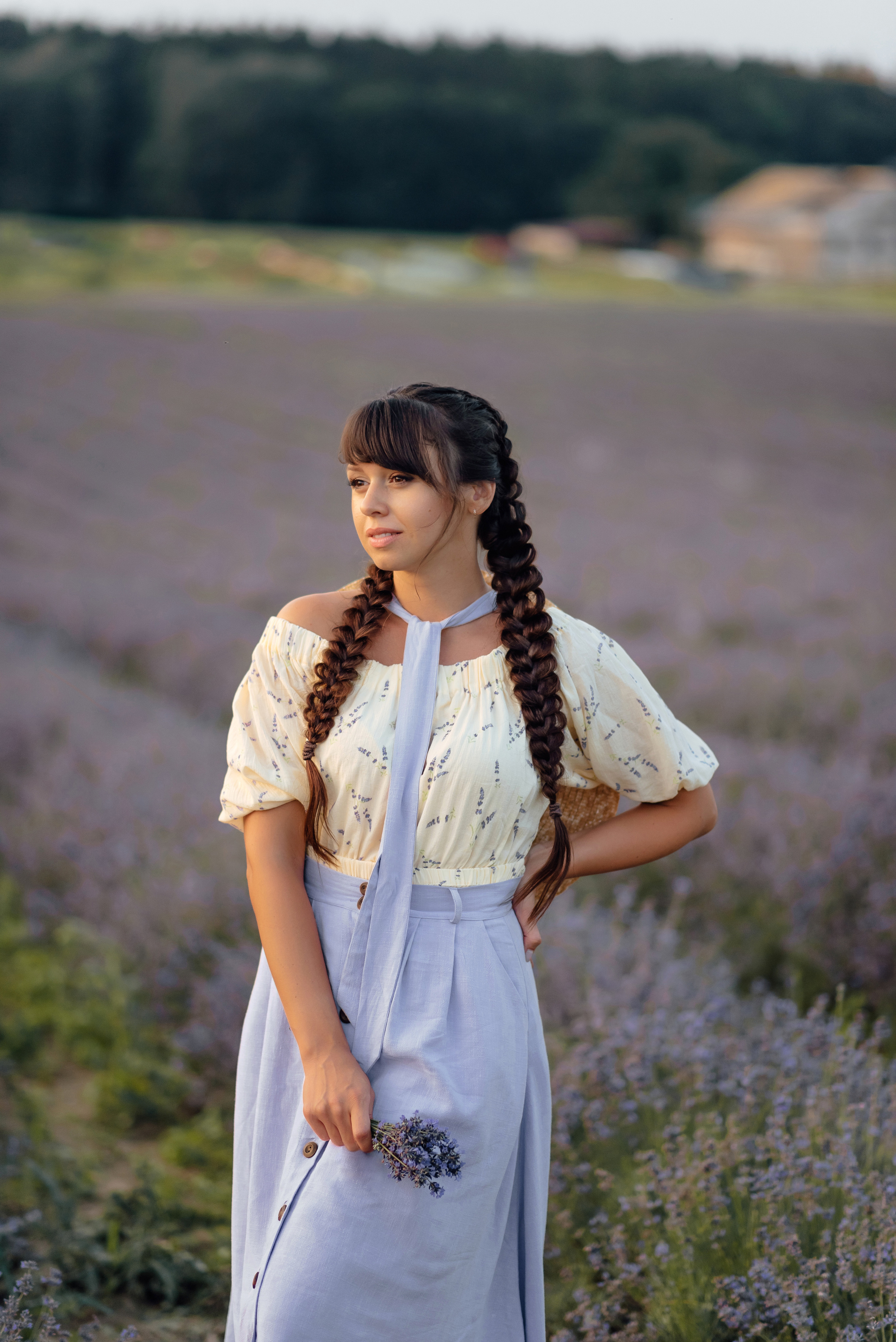 Lavendel. Фотограф в Мюнхене Анастасия Воробцова