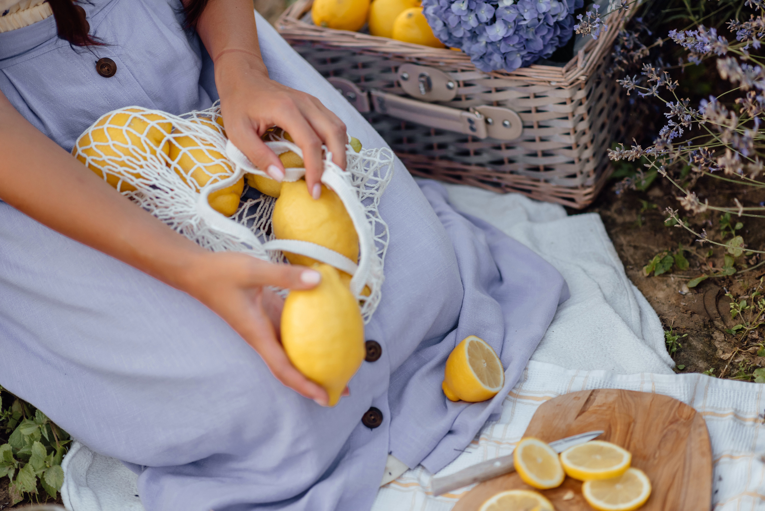 Lavendel. Фотограф в Мюнхене Анастасия Воробцова