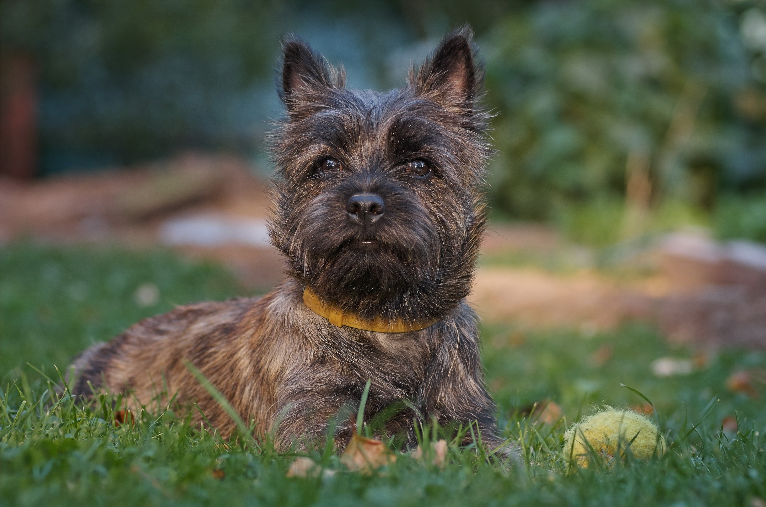 Nature & Wildlife. Yuri Popkov | Photographer