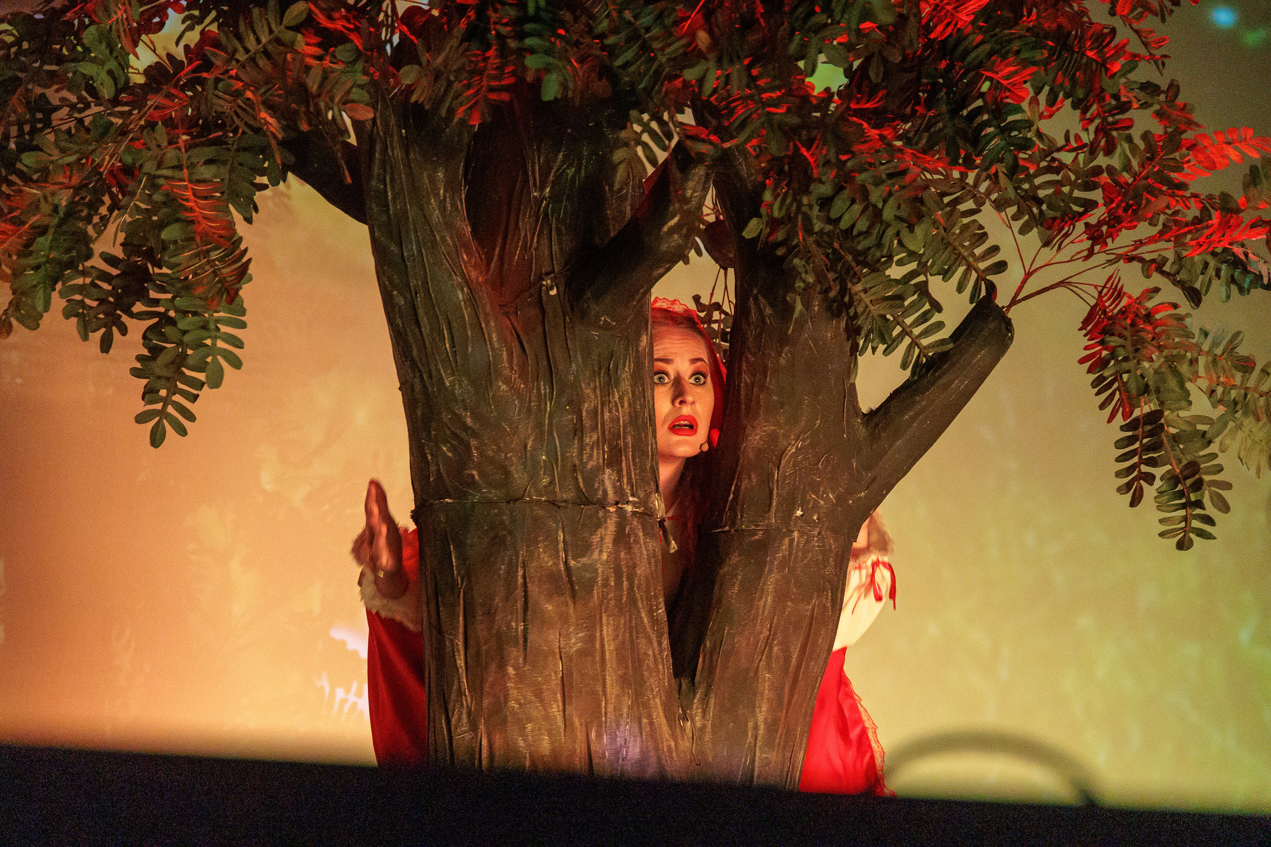 Povestea Scufita Rosie. Clounella. ✔️ Servicii foto si video in Chisinau Moldova - Cinematic.md