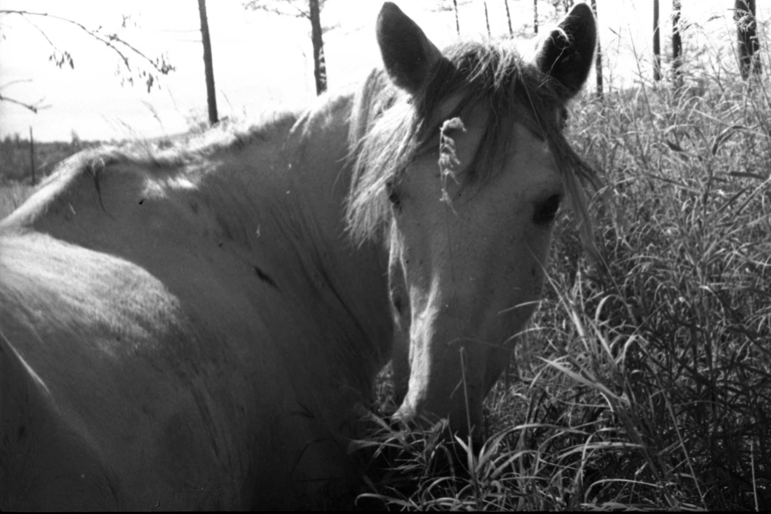 Siberia 1959. Andrzej Strumillo