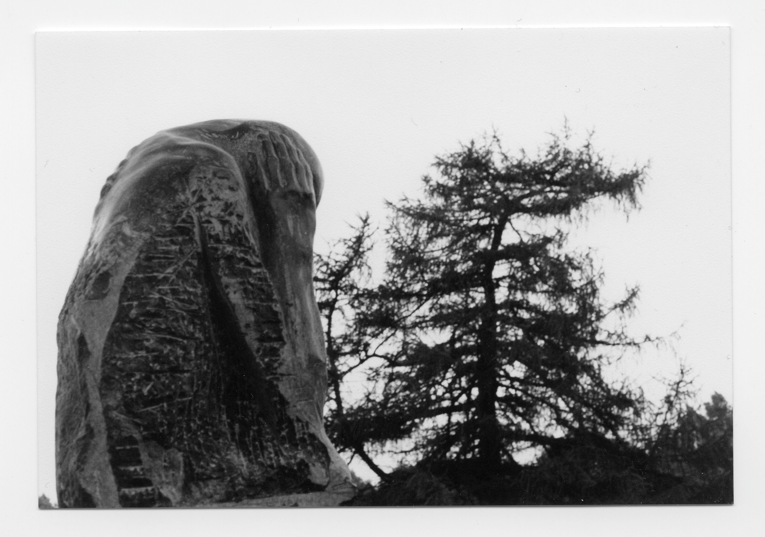 Xxx. Andrzej Strumiłło - Wybitny polski artysta